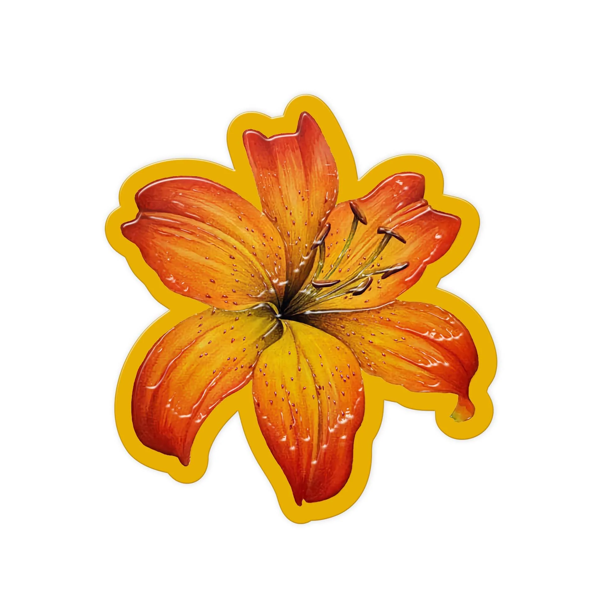 Amber Lily