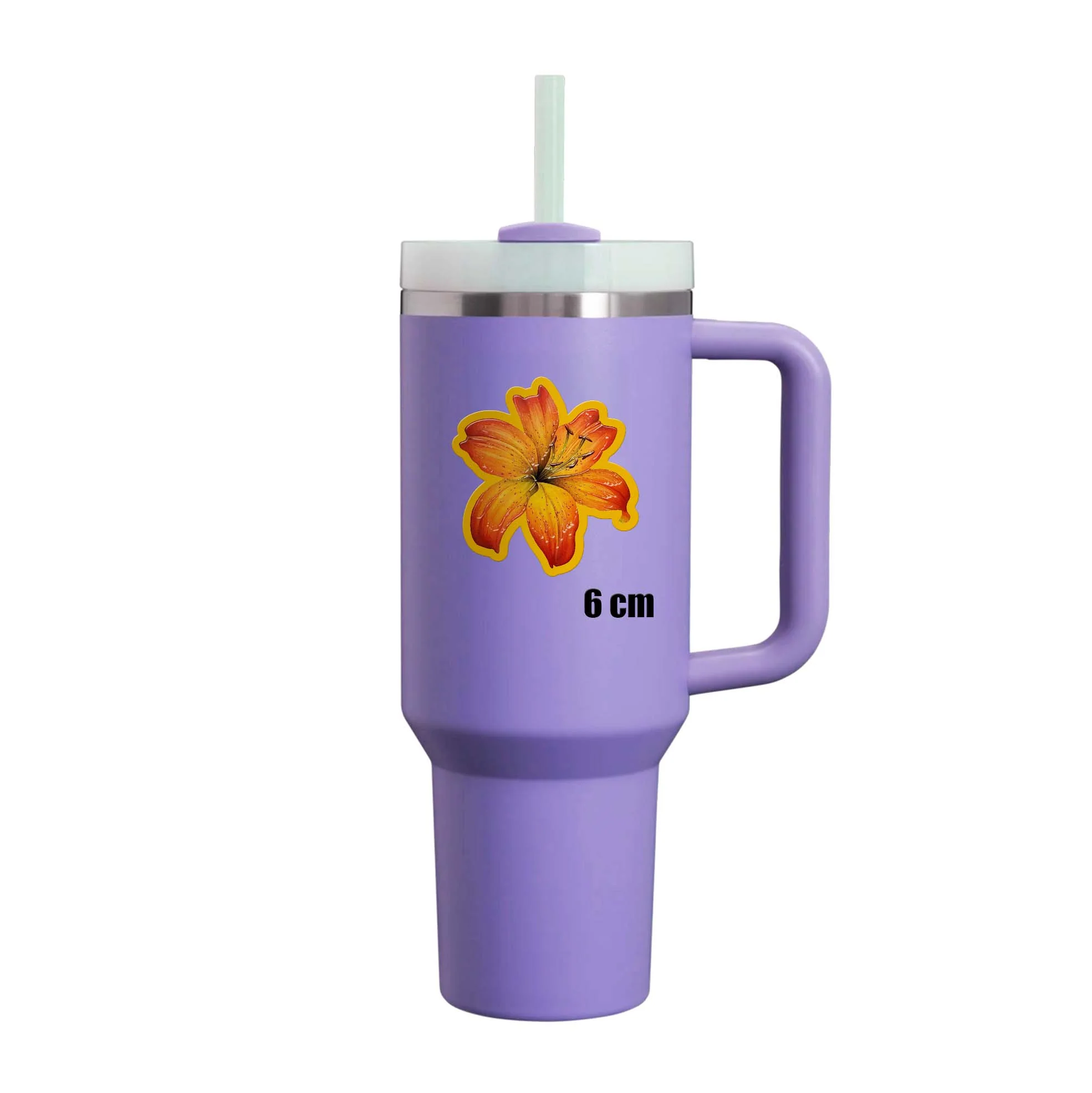 Amber Lily - Image 6