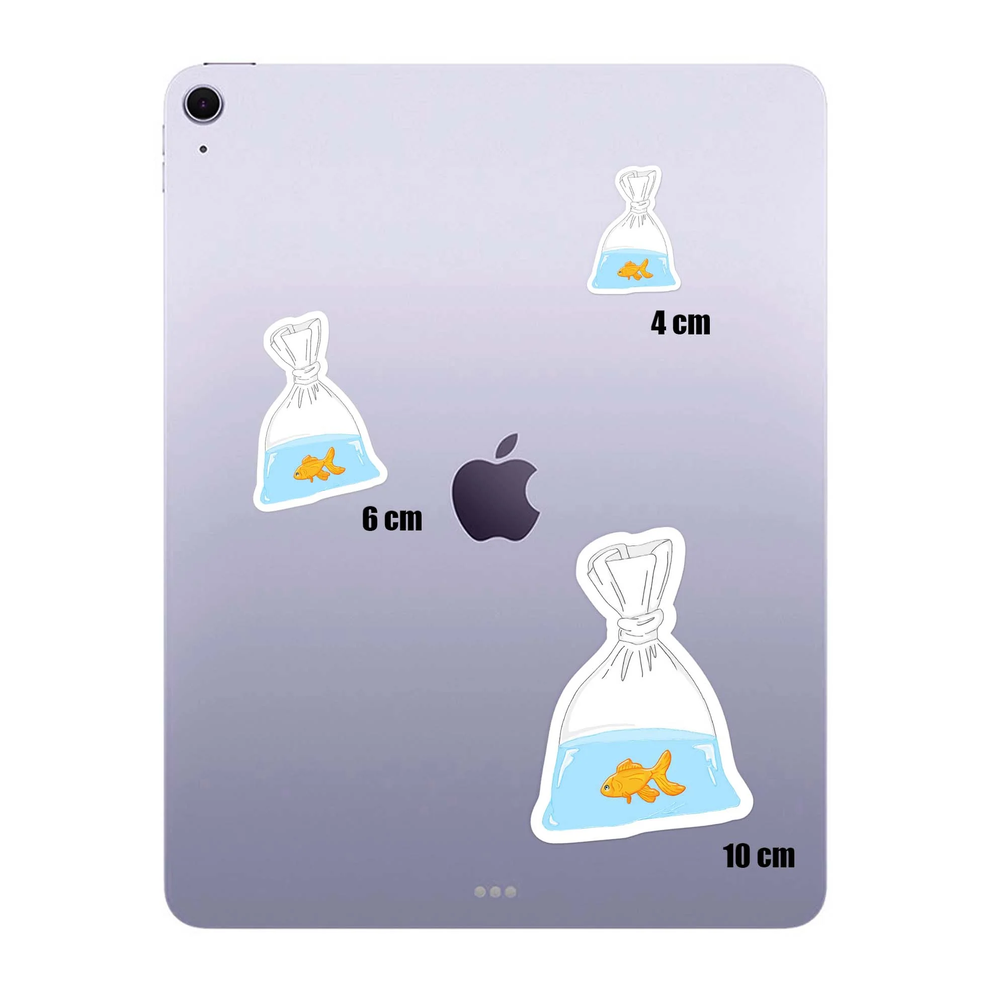 Bag Fish - Image 4