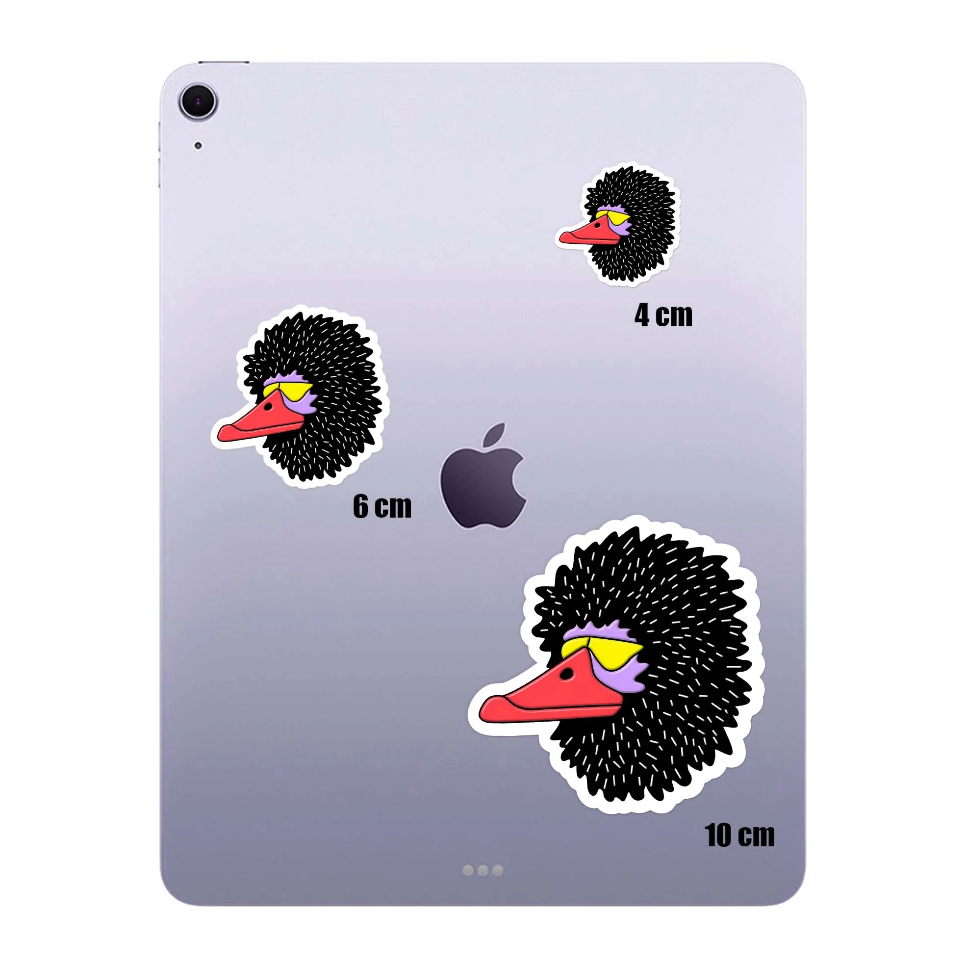 Black Duck - Image 4