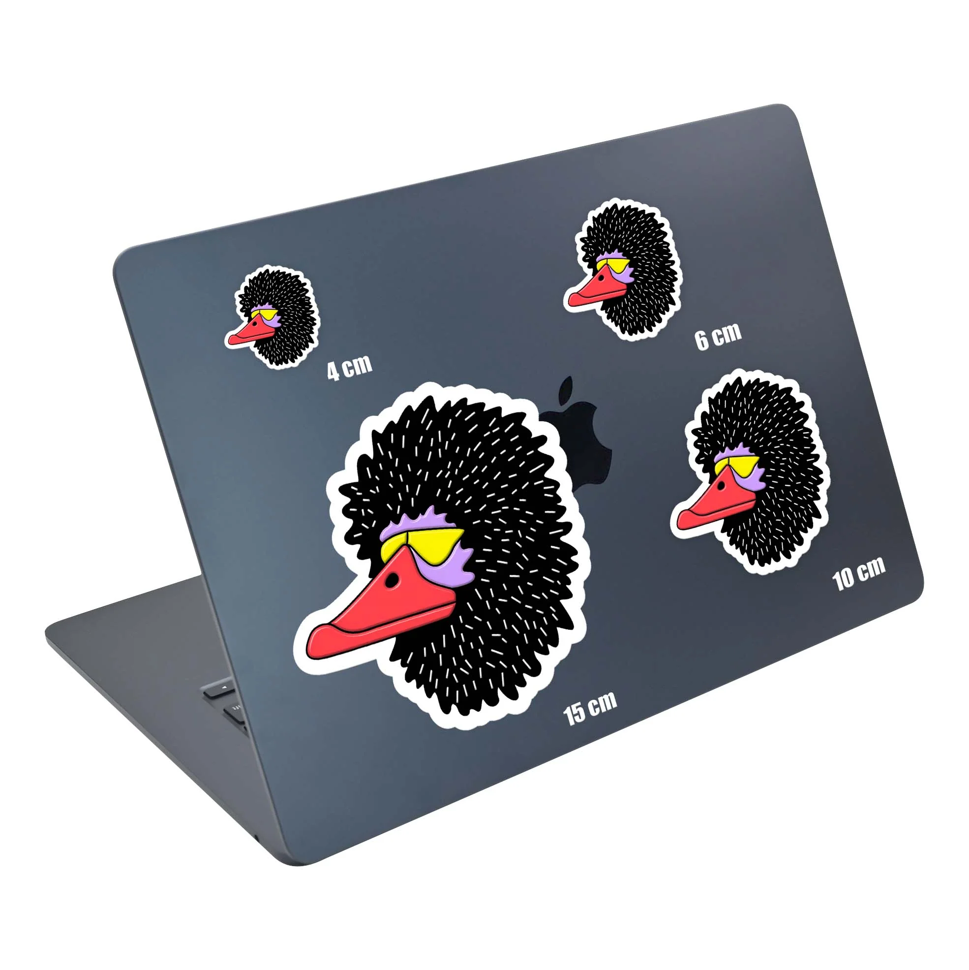 Black Duck - Image 5