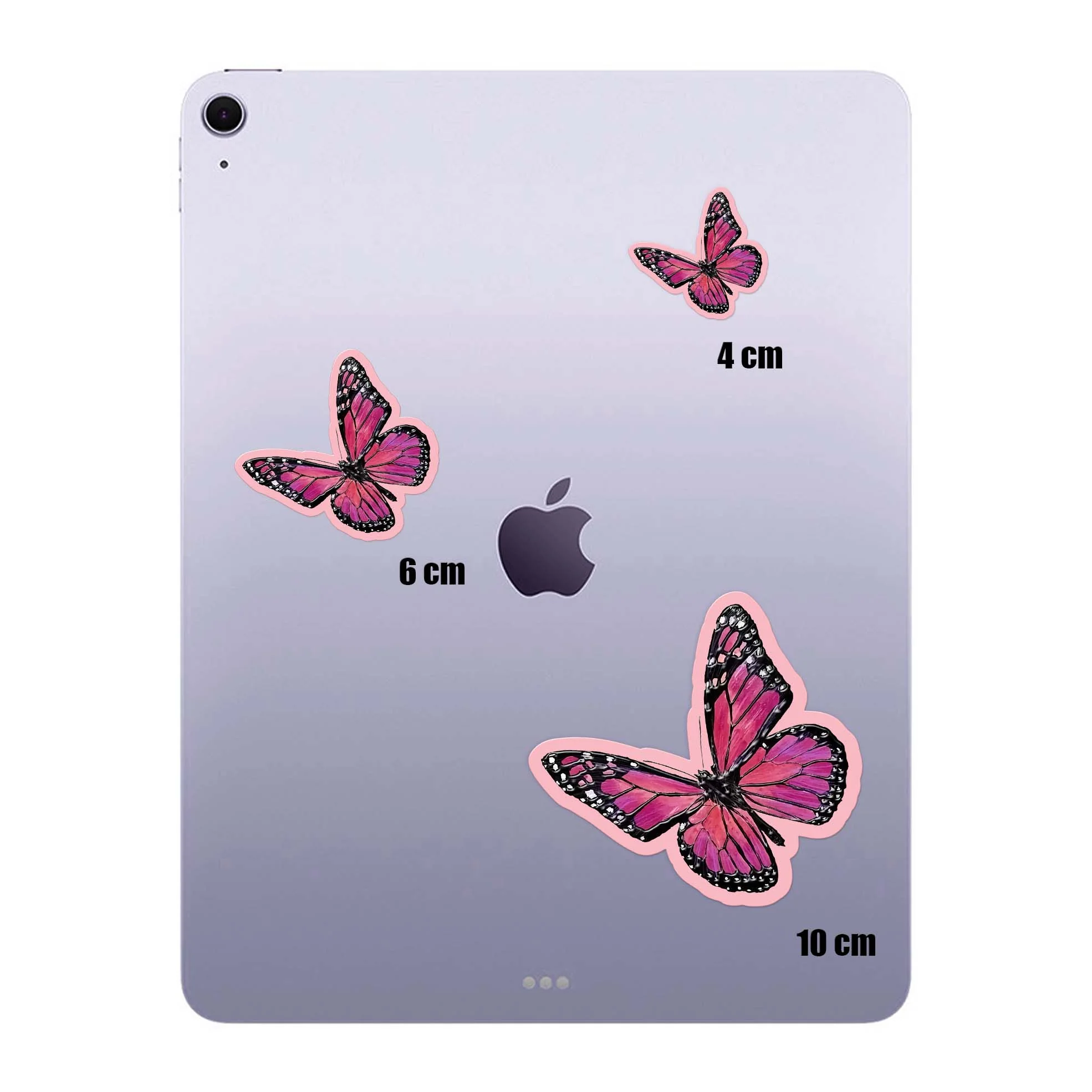 Blush Wings - Image 4