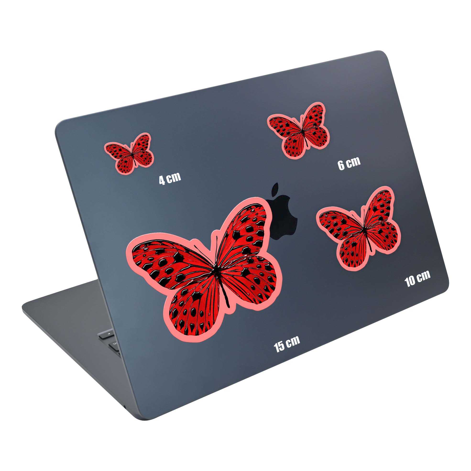 Bold Flutter - Image 5