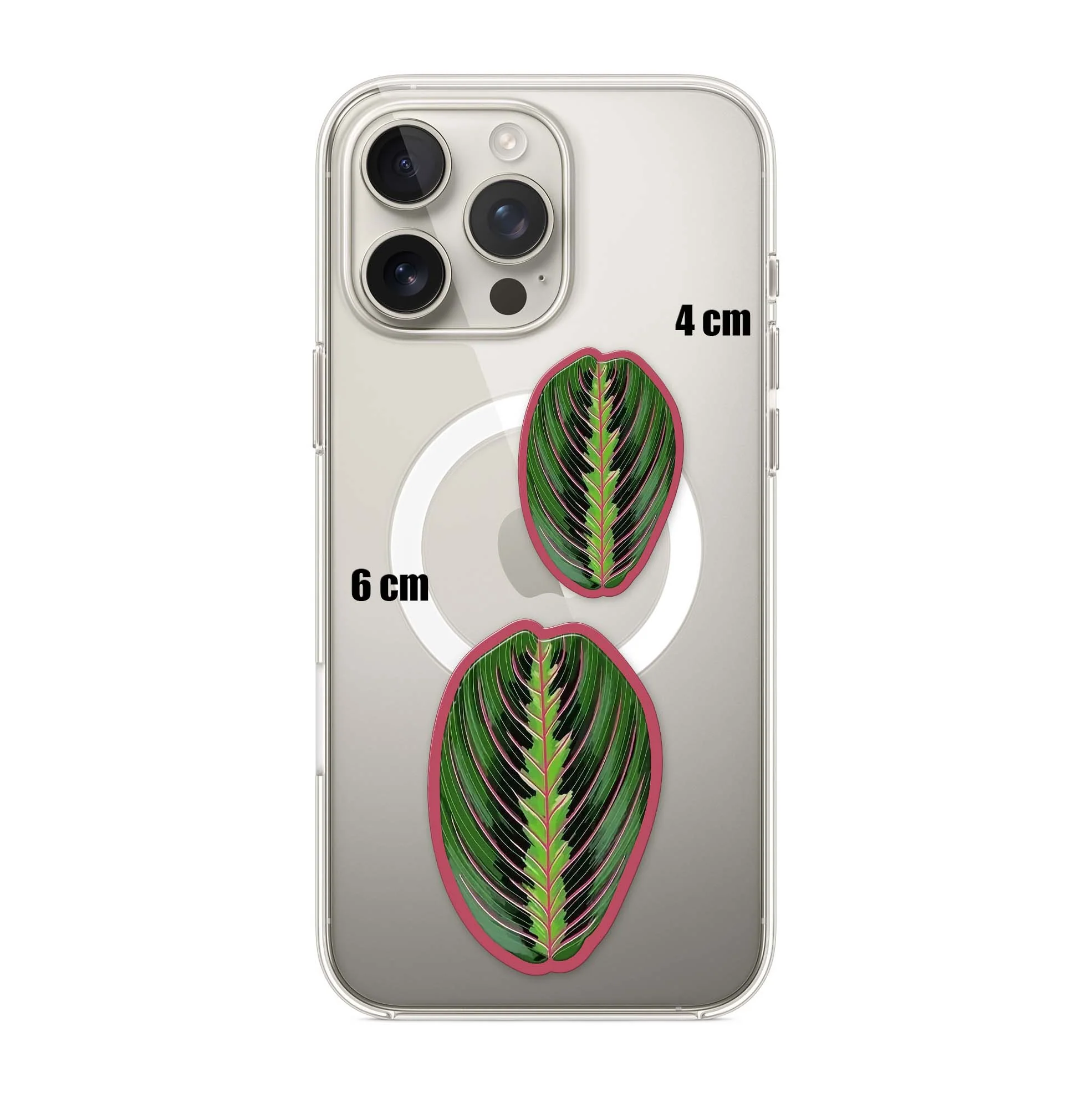 Bot Leaf - Image 3