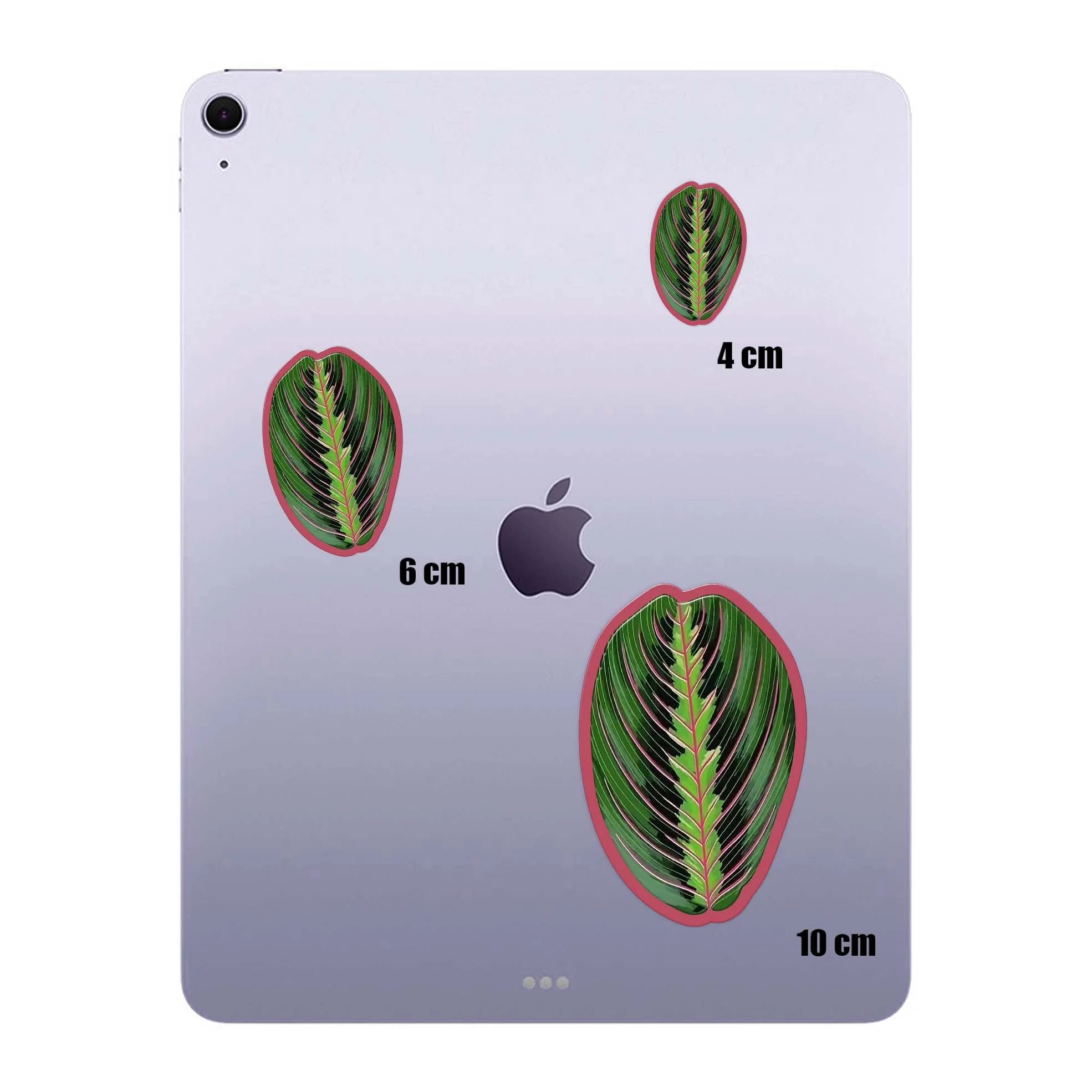 Bot Leaf - Image 4