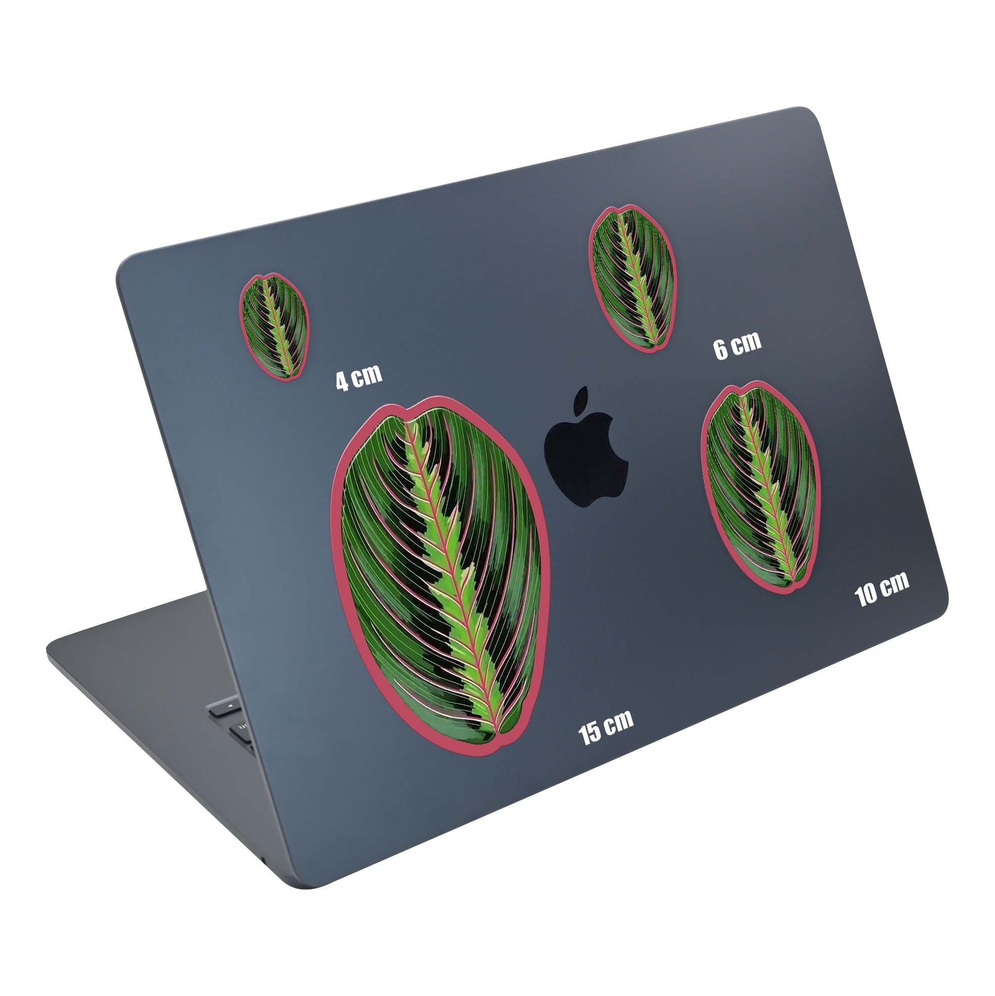 Bot Leaf - Image 5
