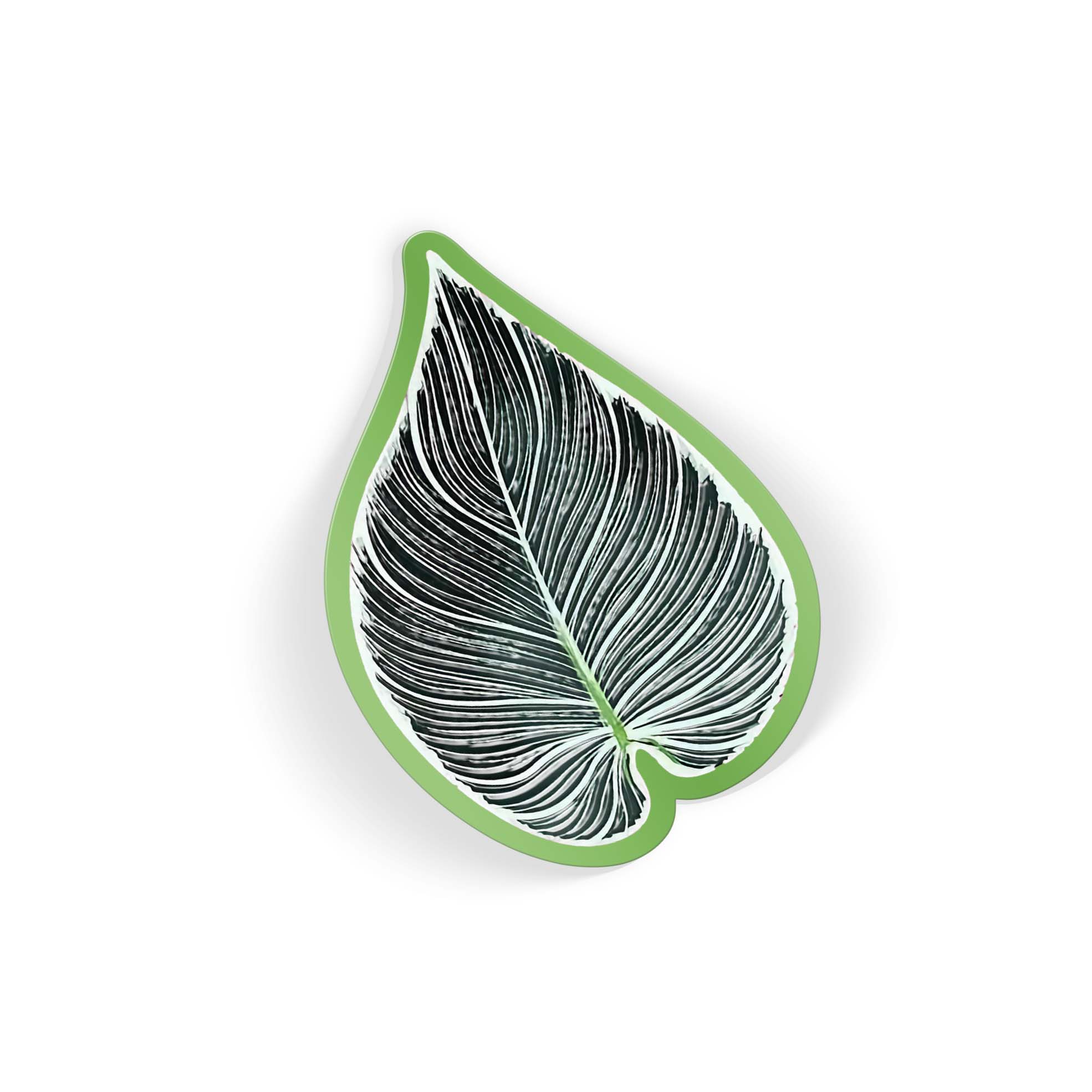 Botanic Beat - Image 2