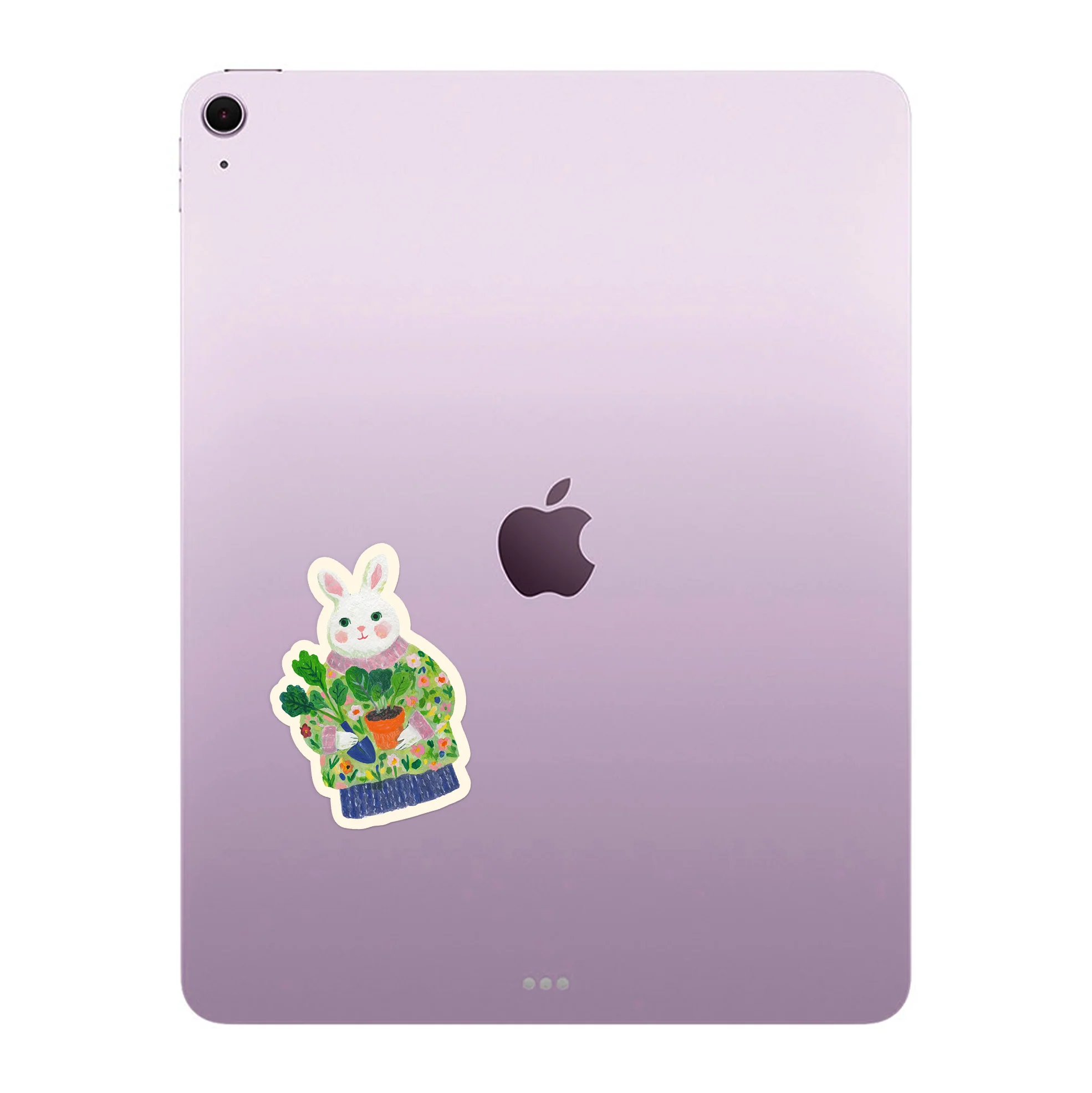 Bunny B II - Image 4