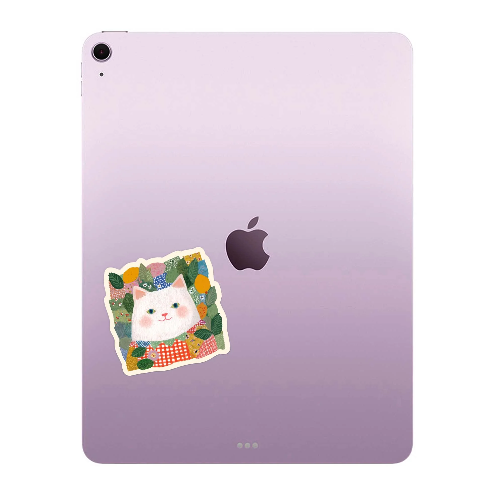 Cat & Fruit - Image 4
