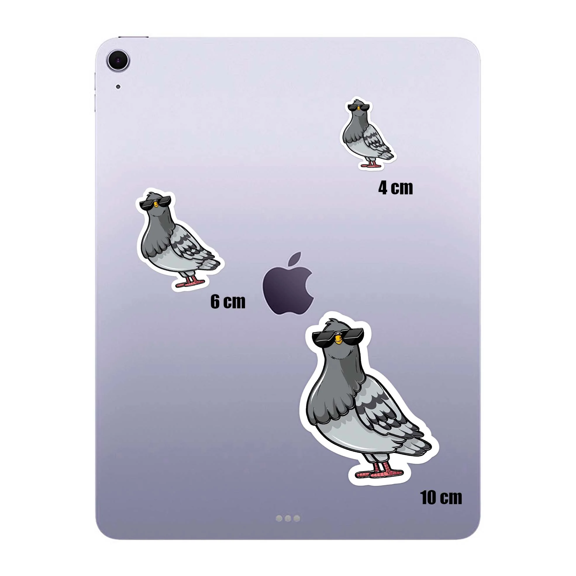 Cool Pigeon - Image 4