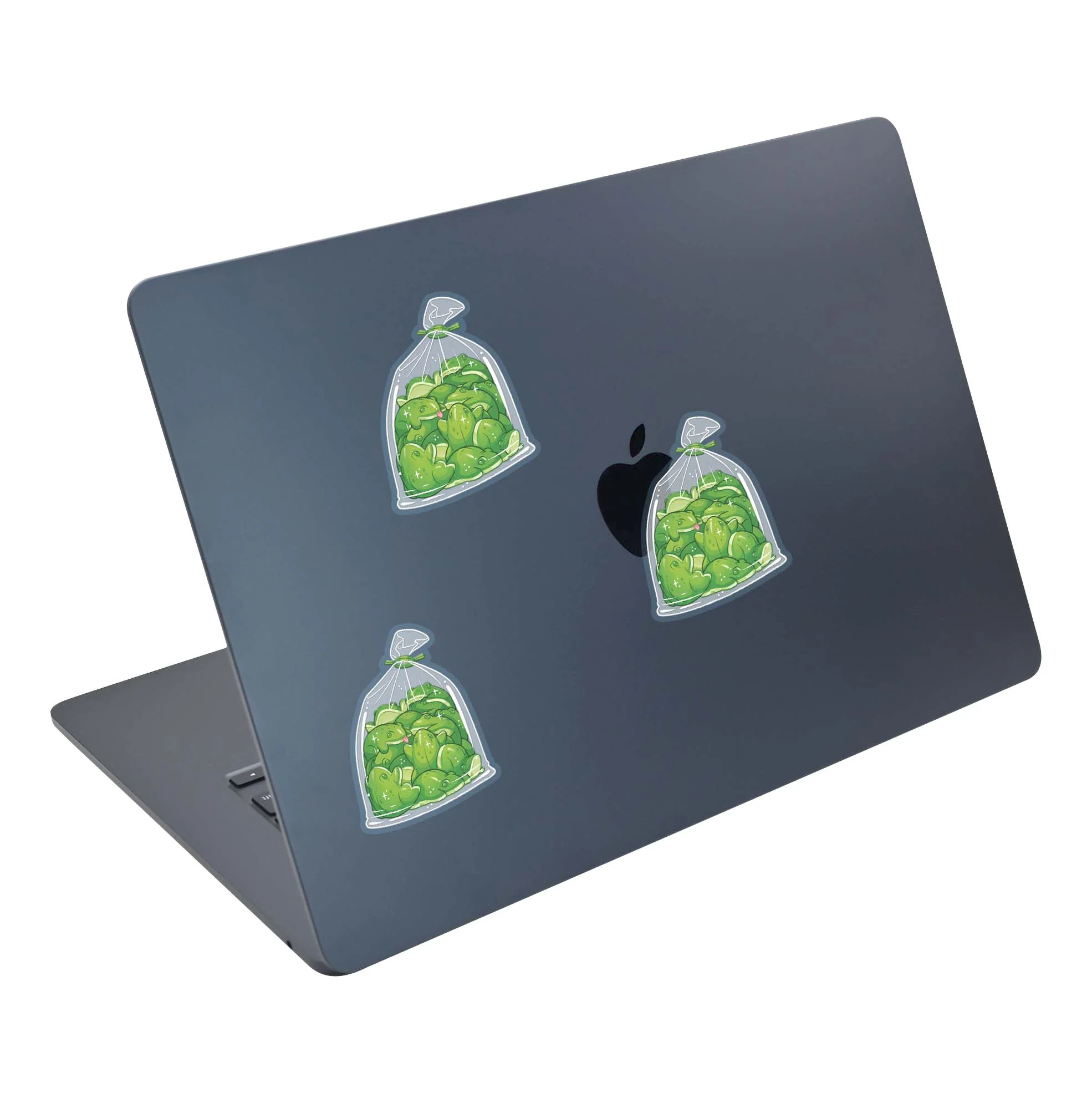 Frogs - Image 5