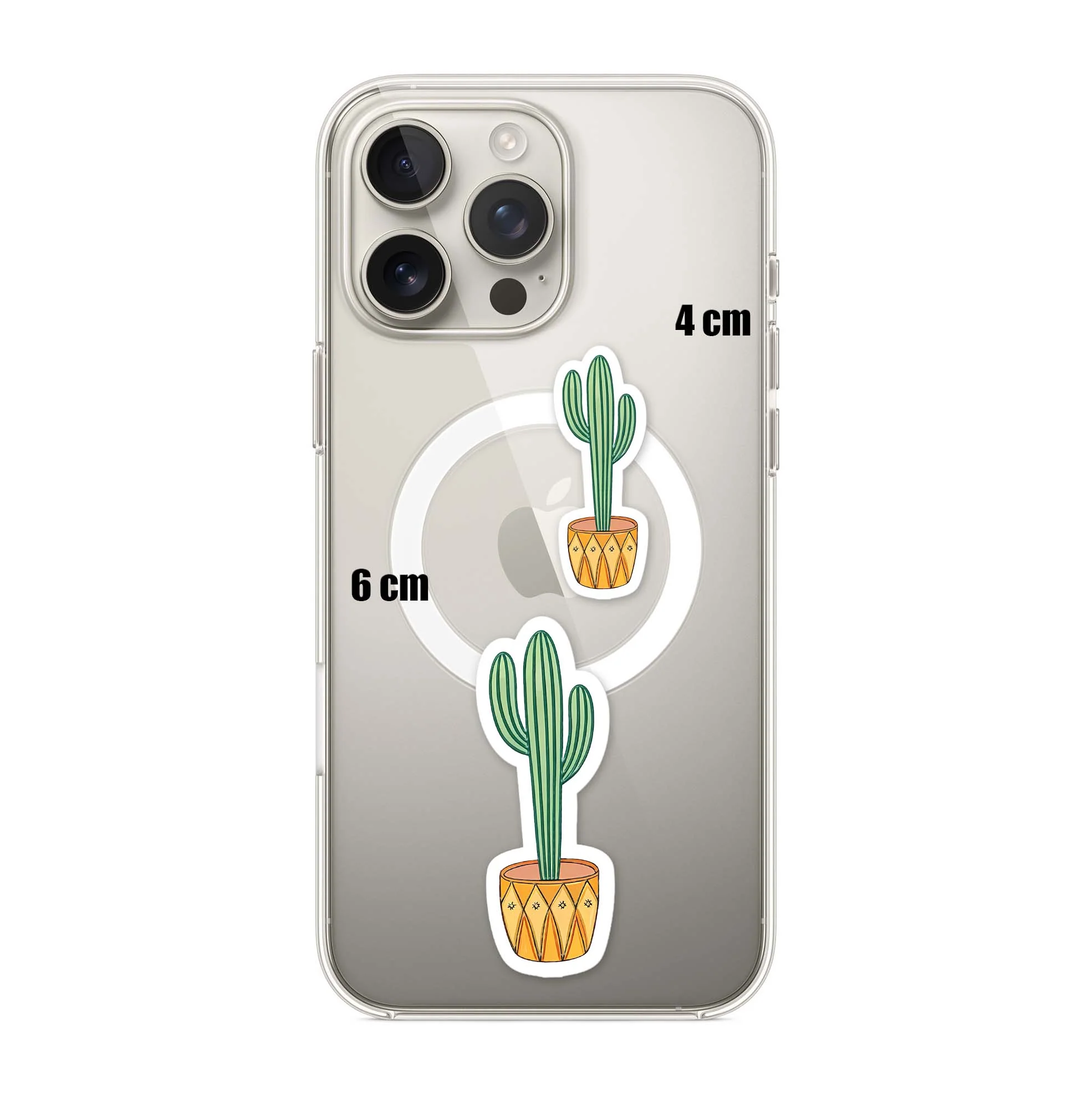Mini Cactus - Image 3
