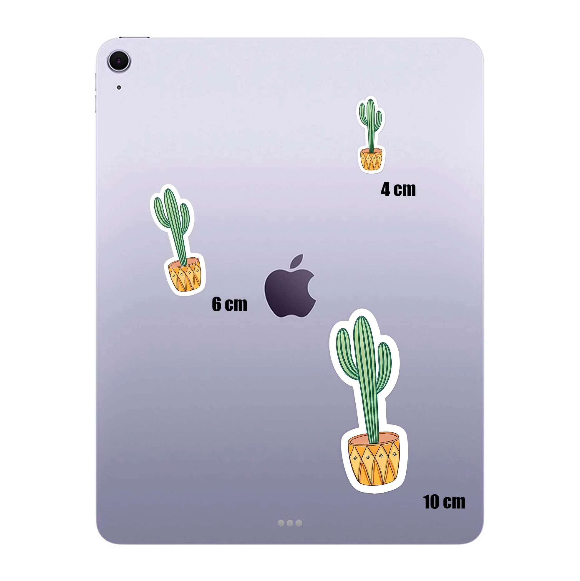 Mini Cactus - Image 4