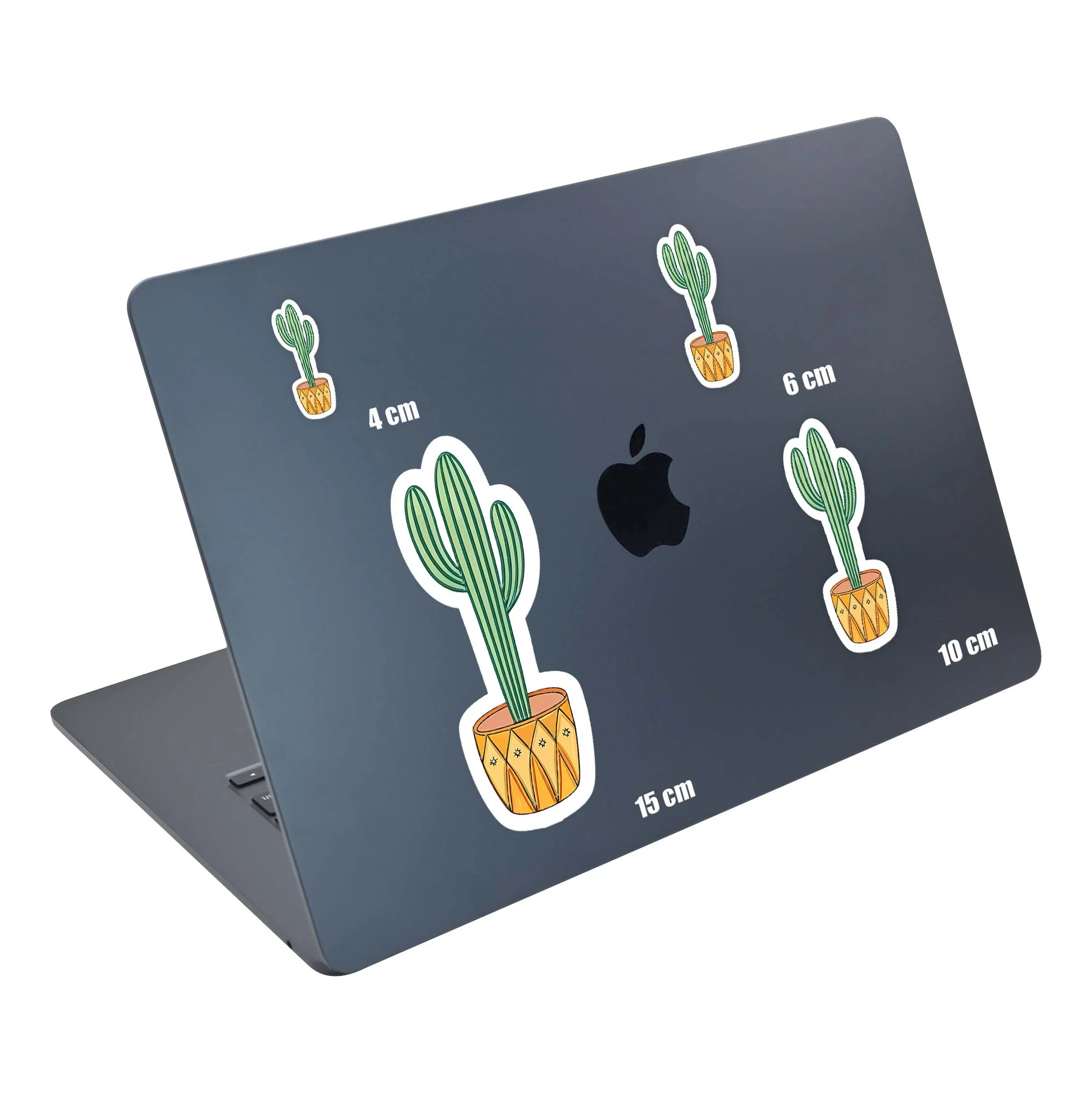 Mini Cactus - Image 5