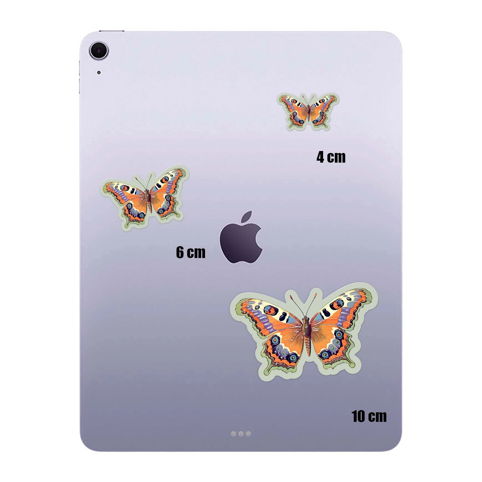 Mint Flight - Image 4