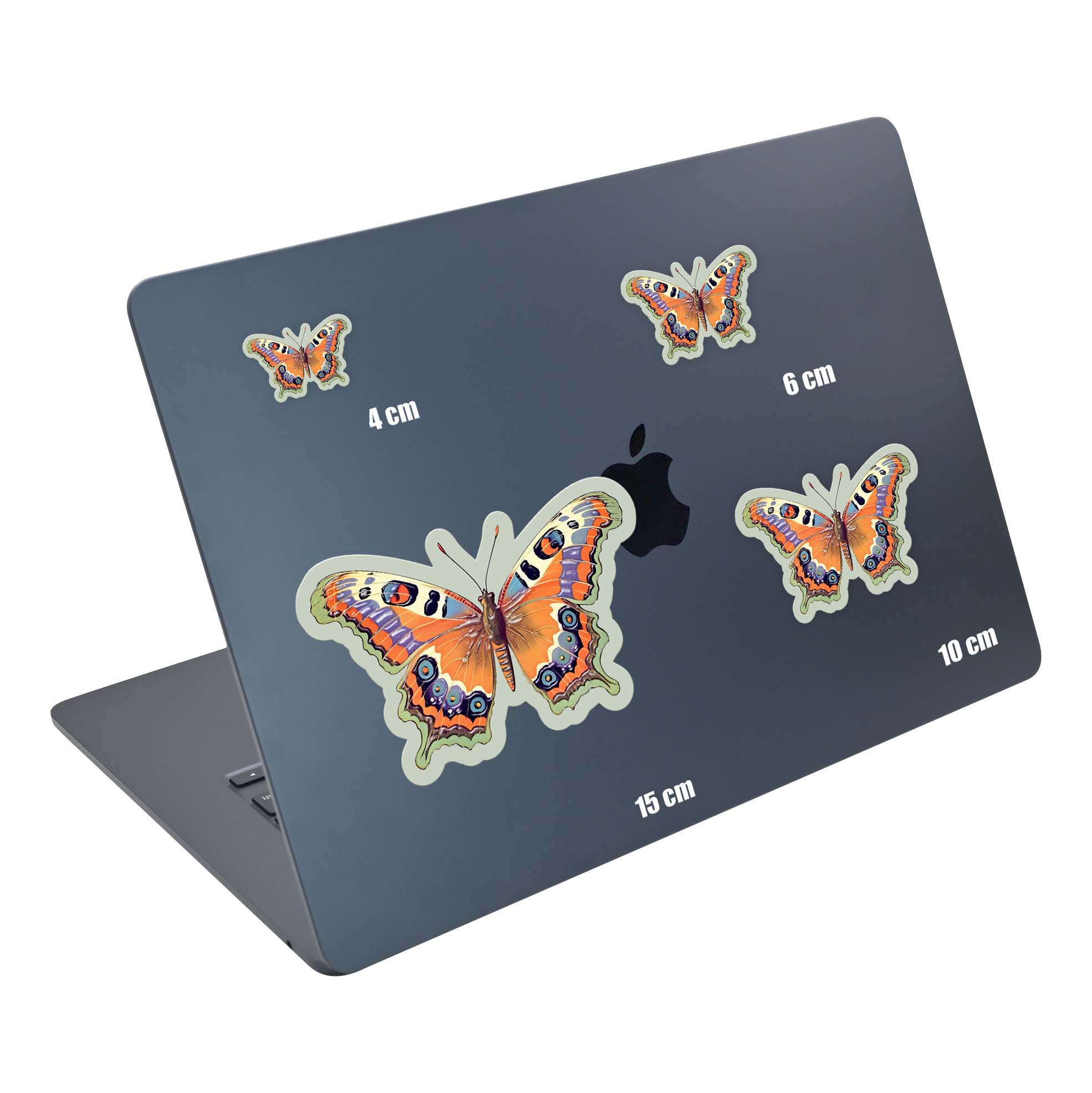 Mint Flight - Image 5
