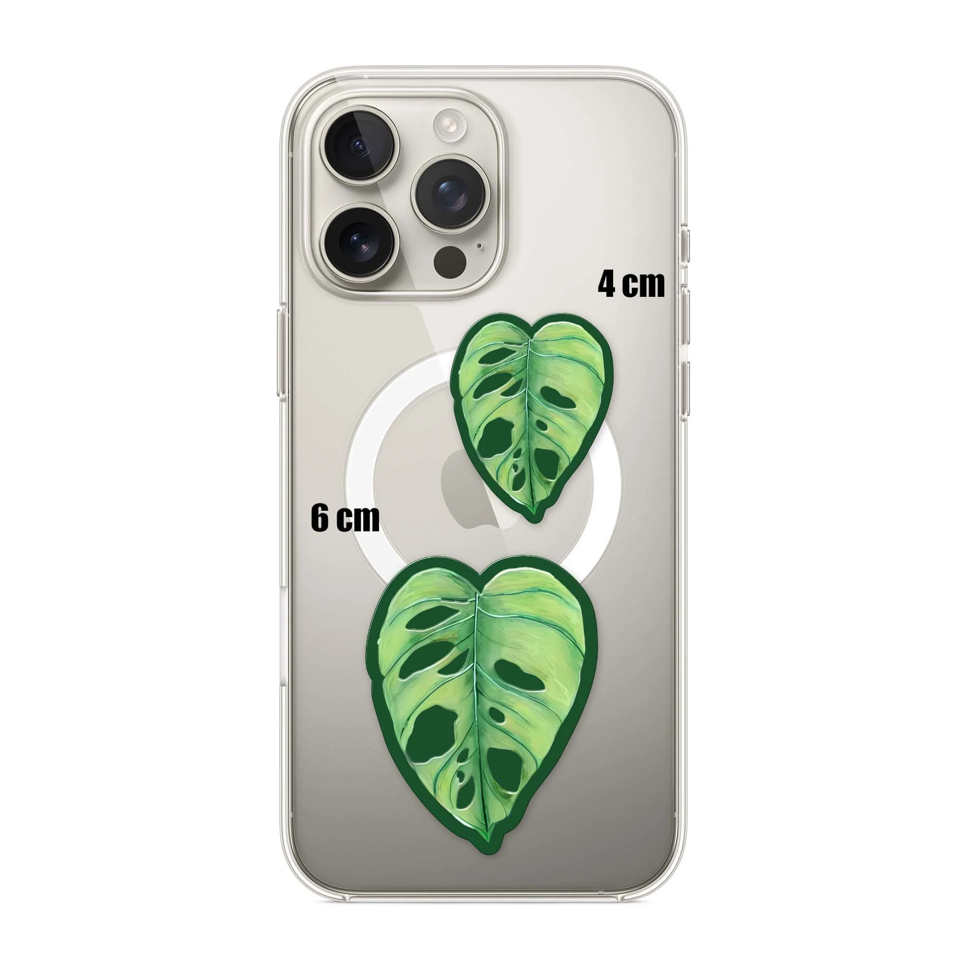 Monstera.H - Image 3