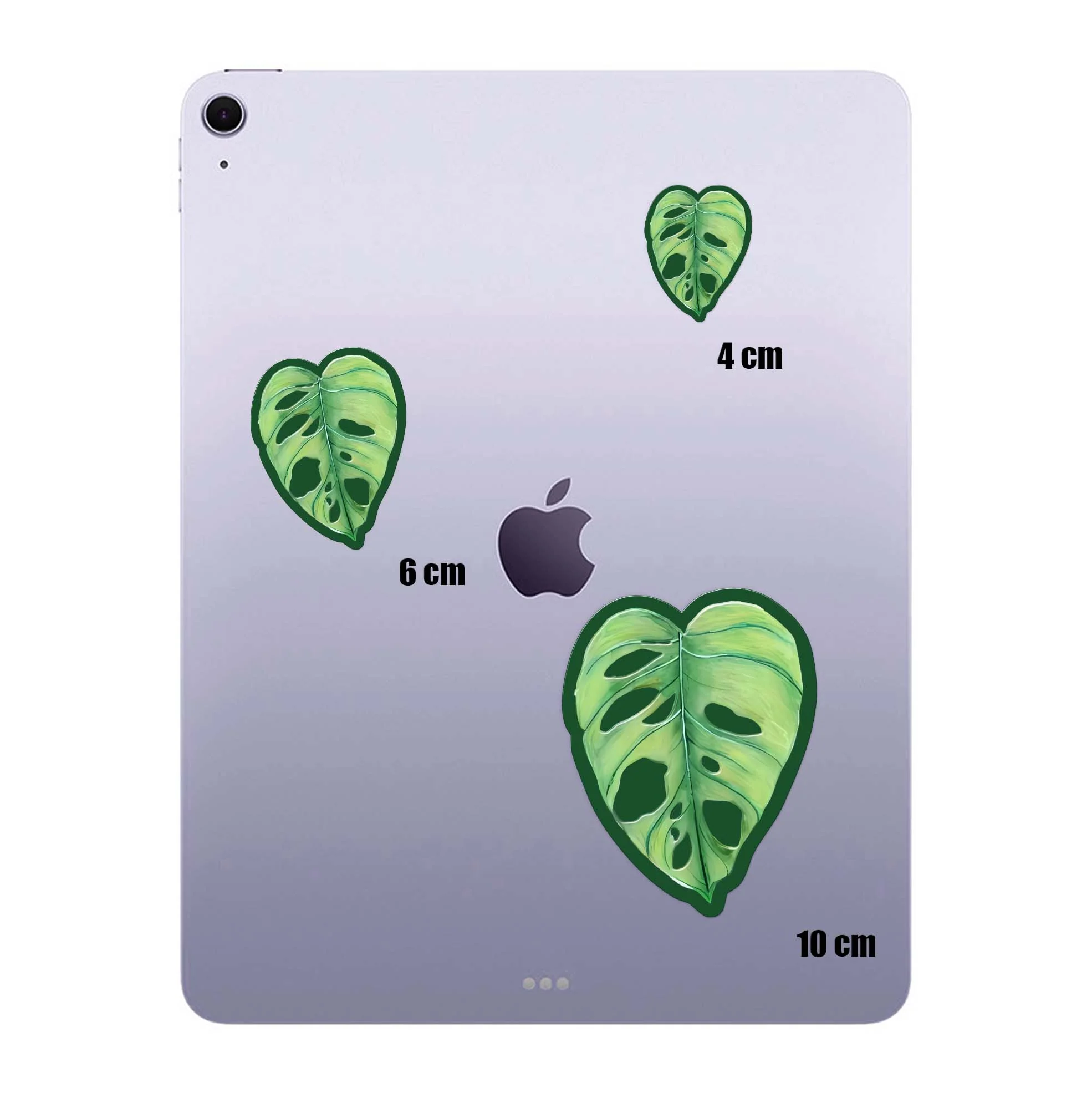 Monstera.H - Image 4