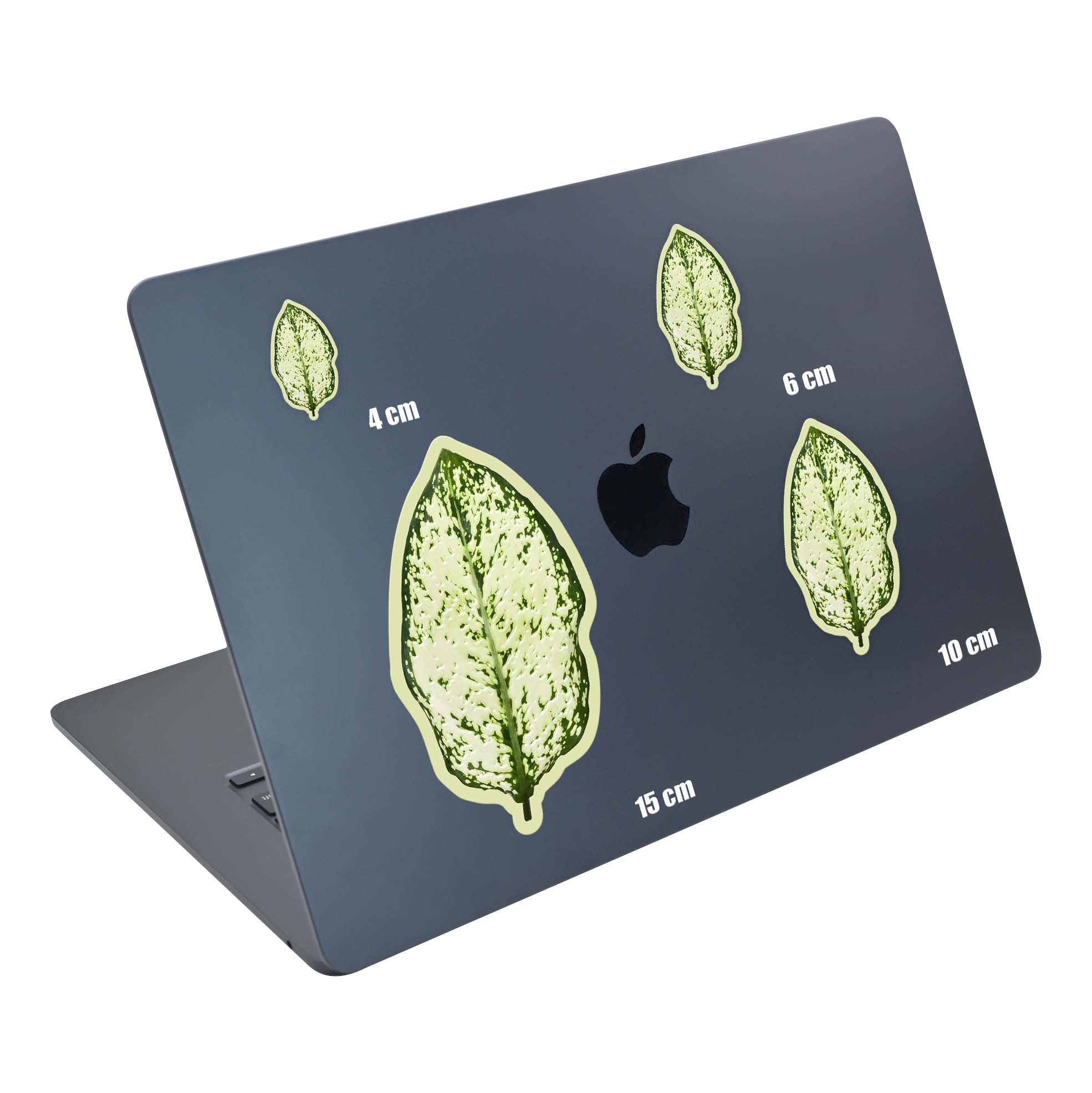 Moss Leaf - Image 5