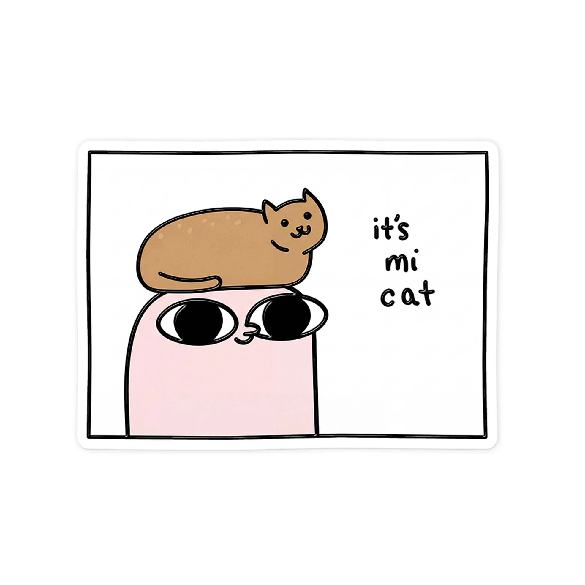 My Cat