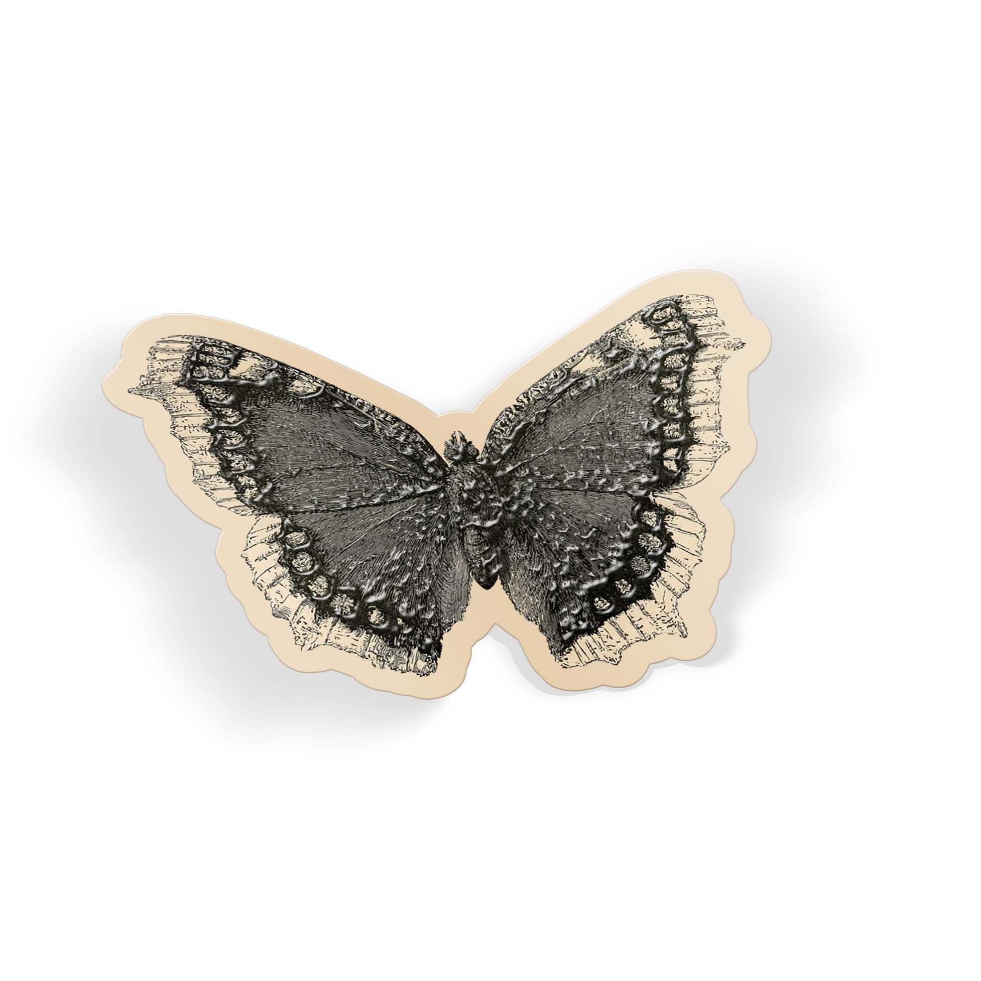 Night Moth - Image 2