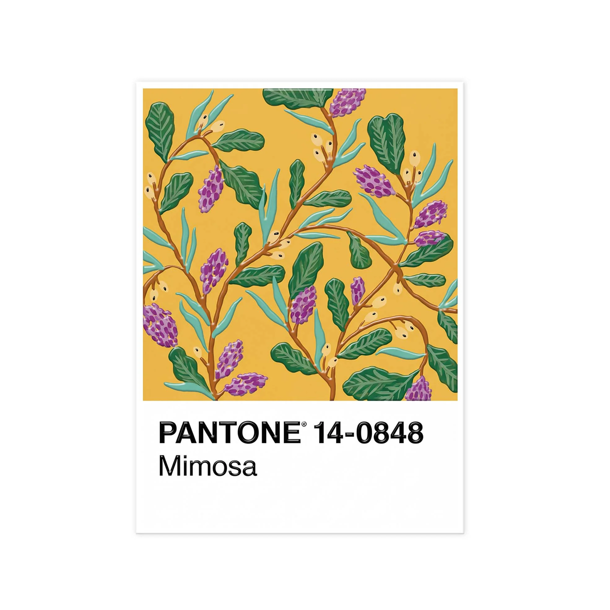 P-Mimosa