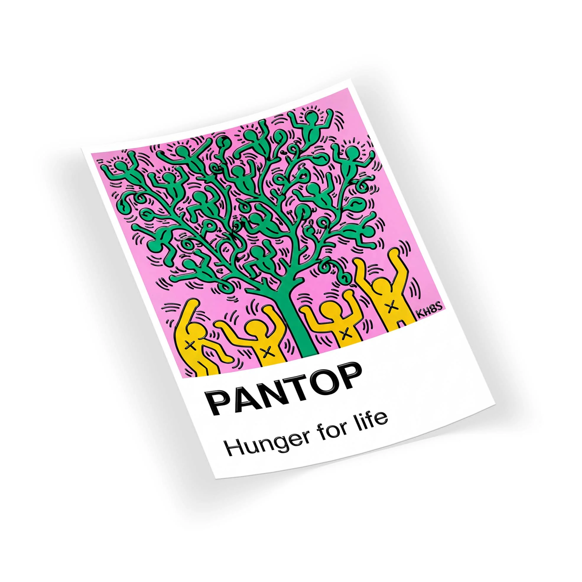 P-PanTop - Image 2