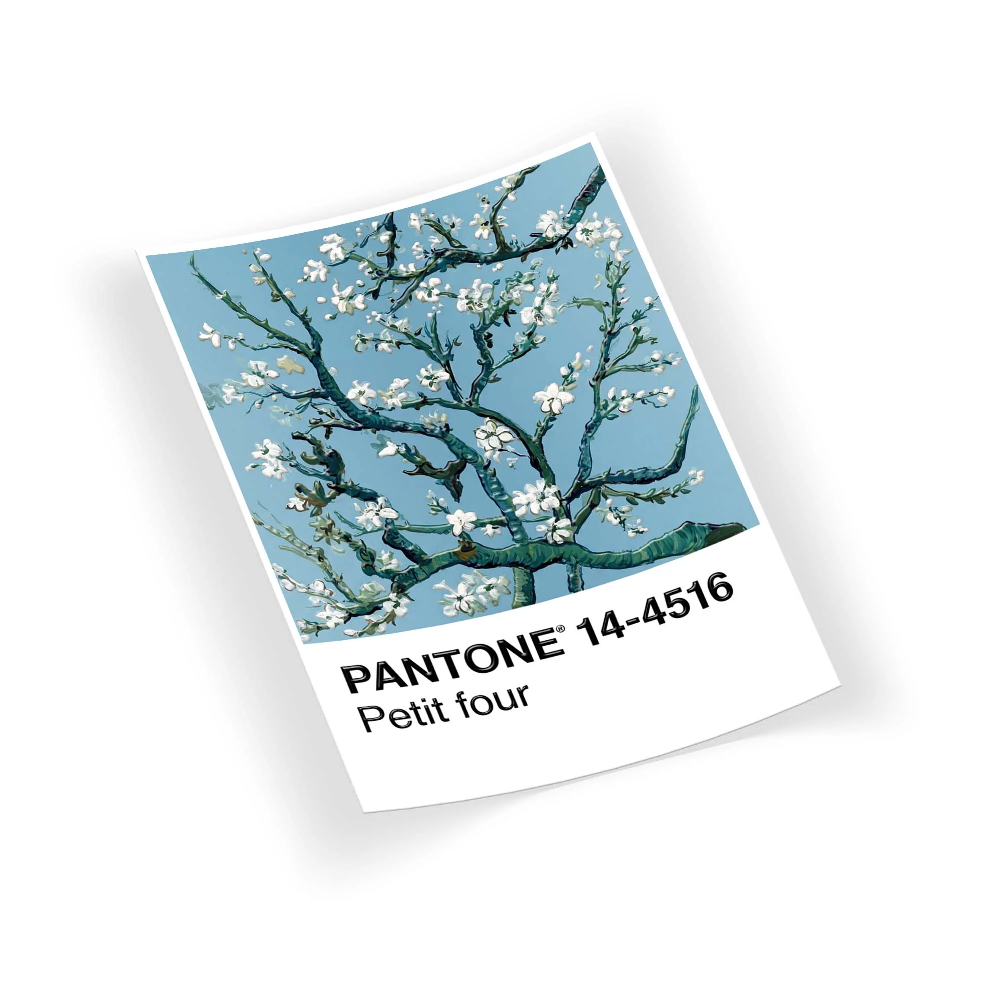 P-Petit Four - Image 2