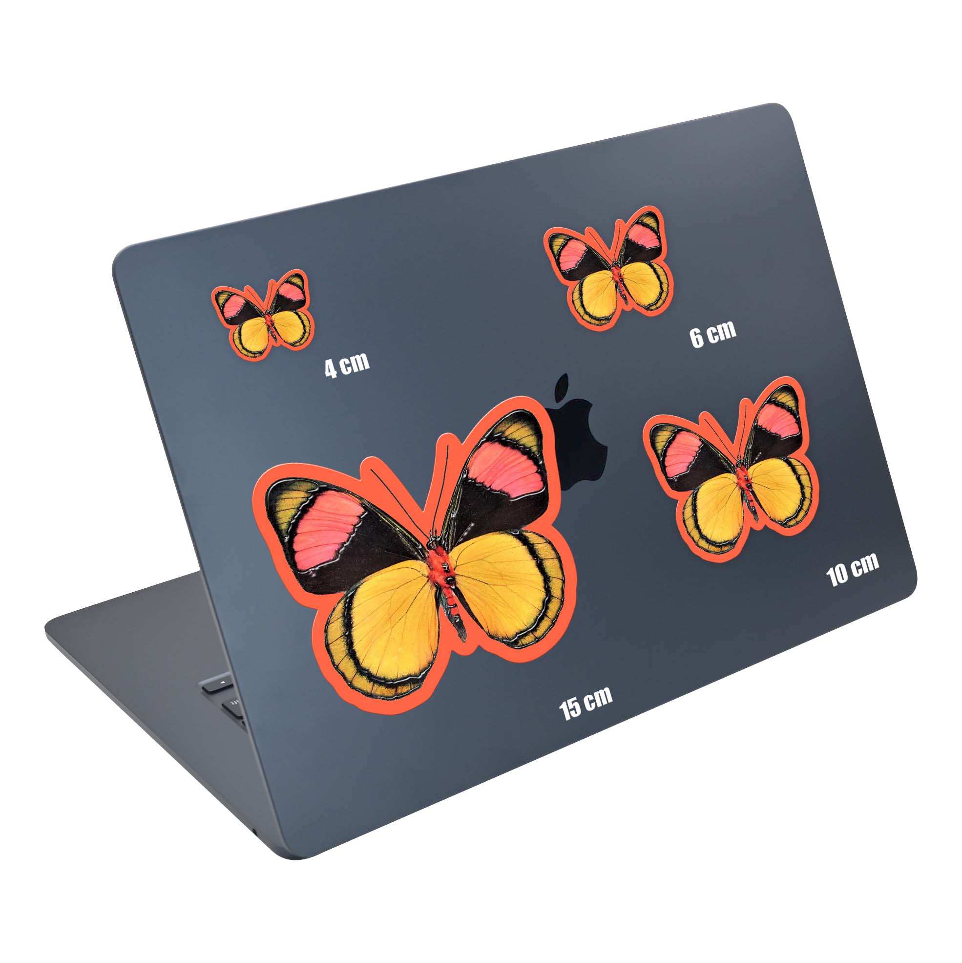 Peach Wing - Image 5