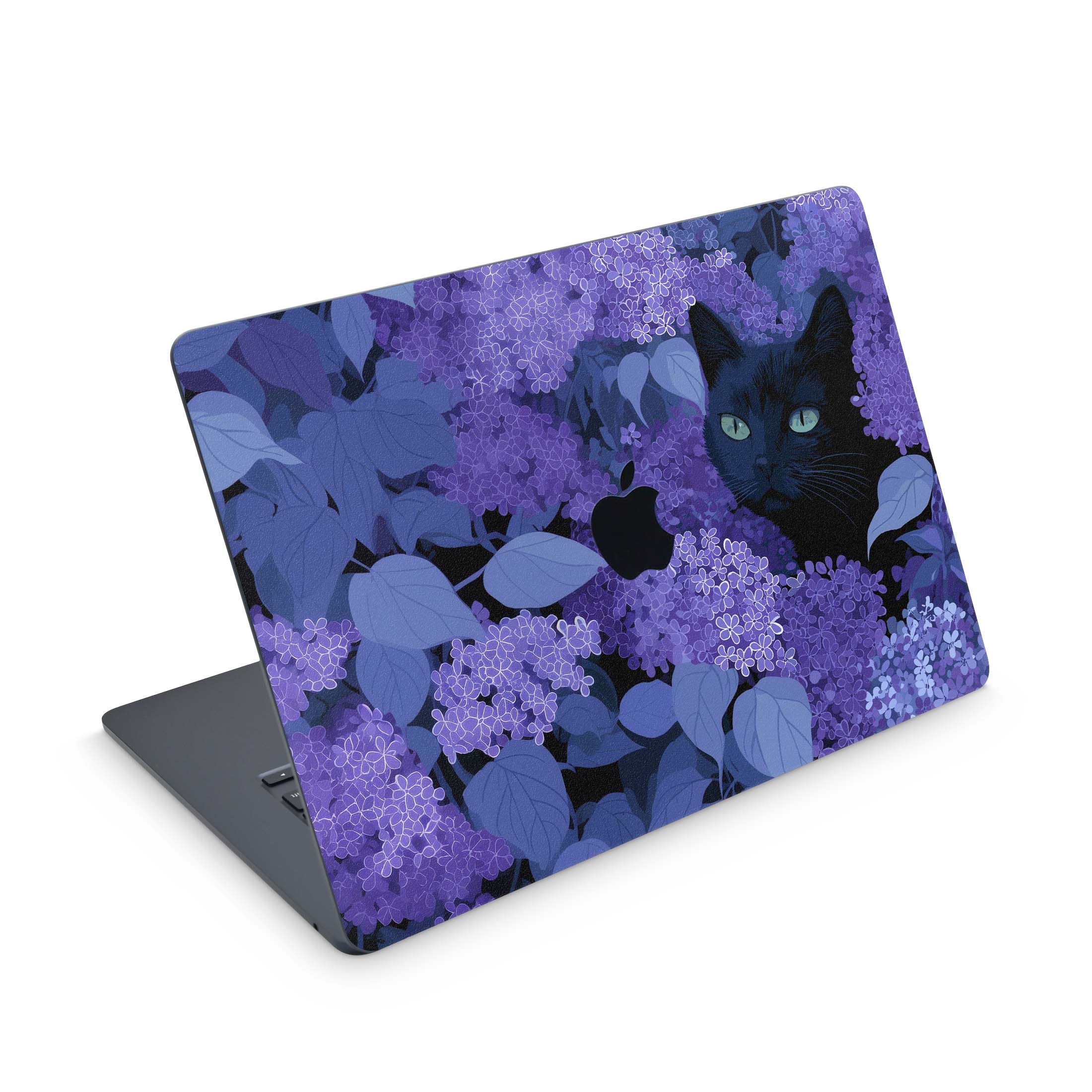 Petal Dance - MacBook