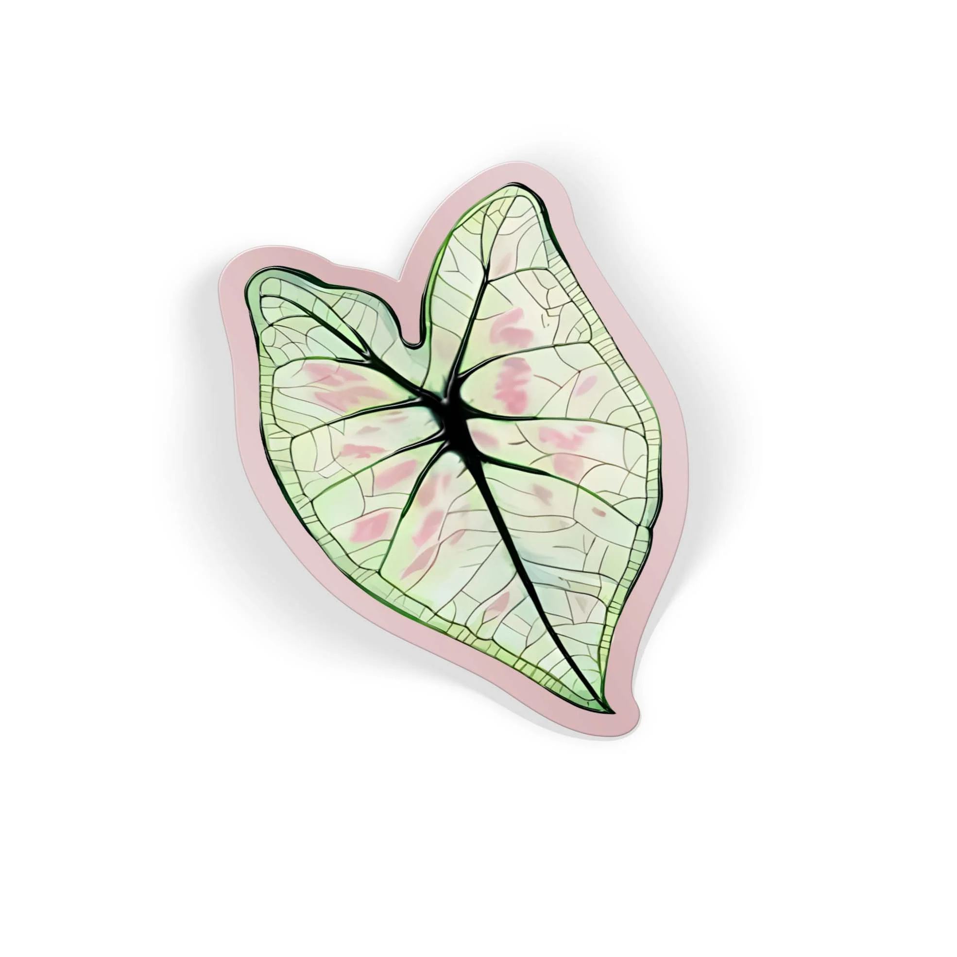 Pink Veins - Image 2