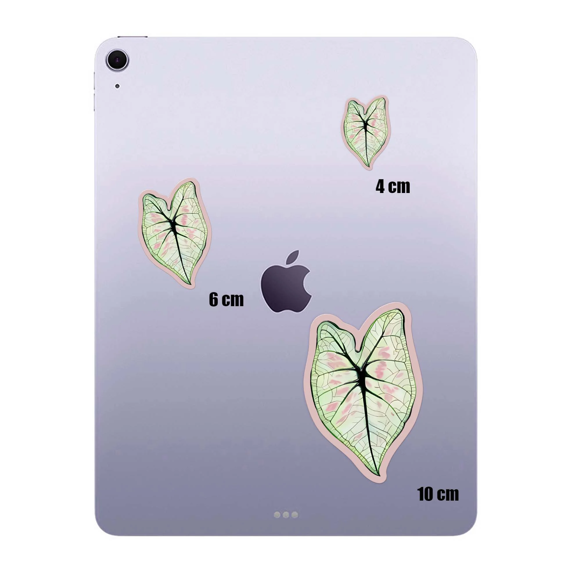 Pink Veins - Image 4