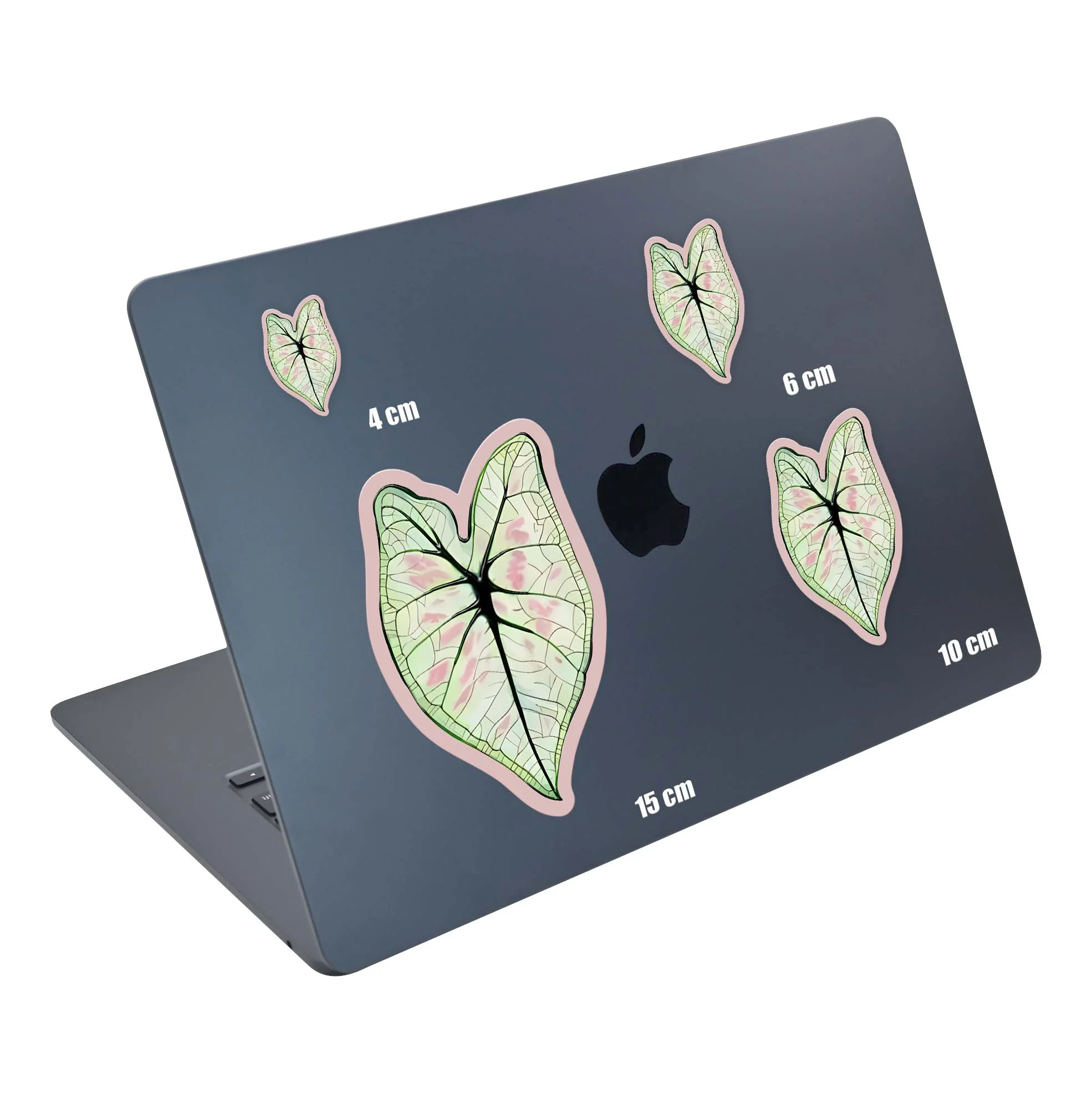 Pink Veins - Image 5