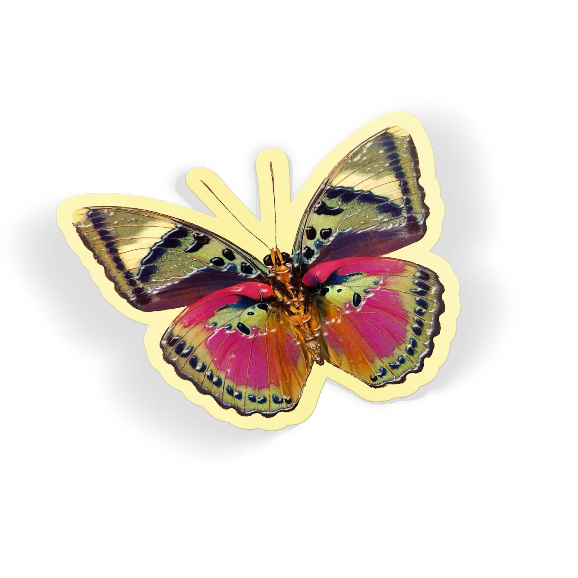 Rainbow Flig - Image 2