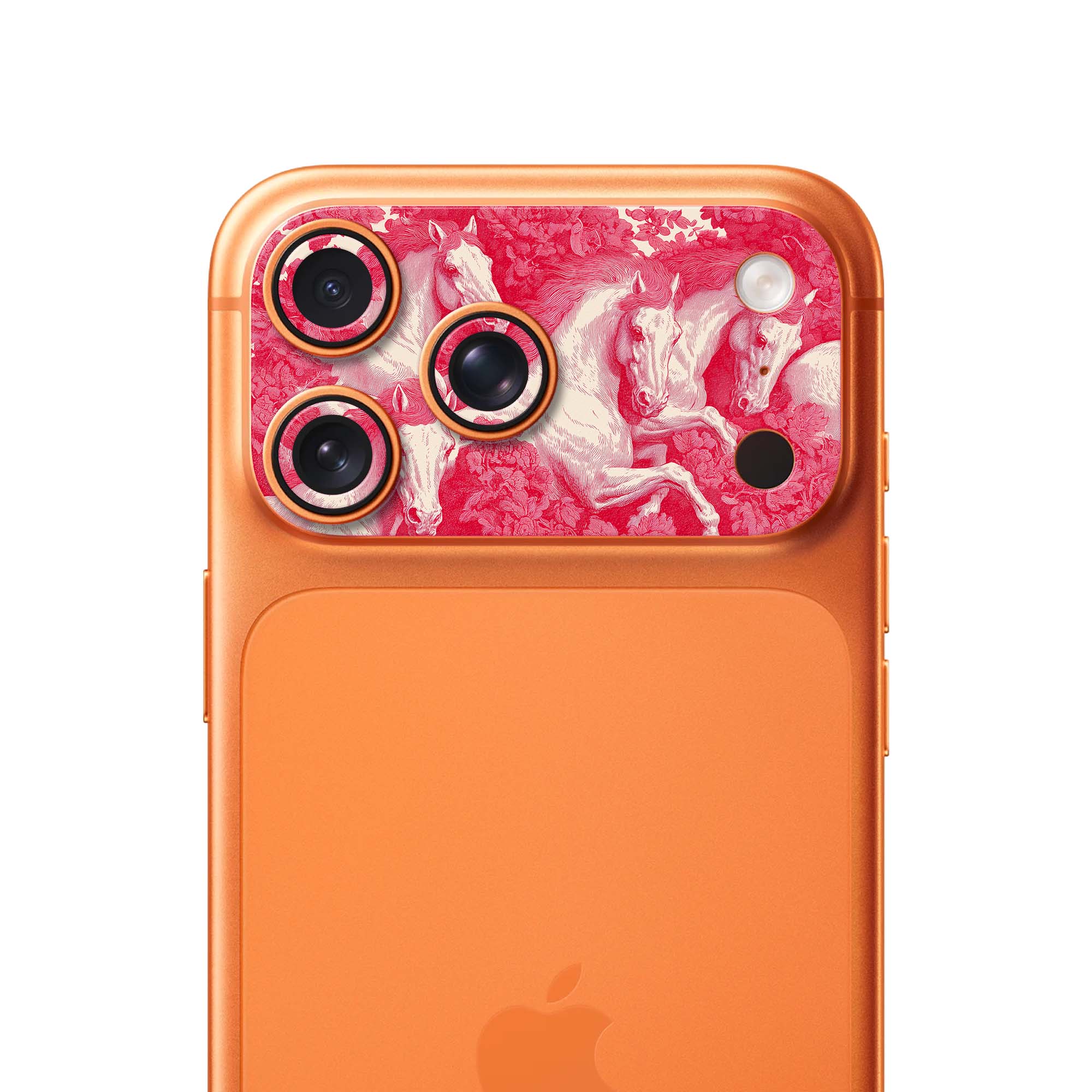 Red Equinox BK - Image 4