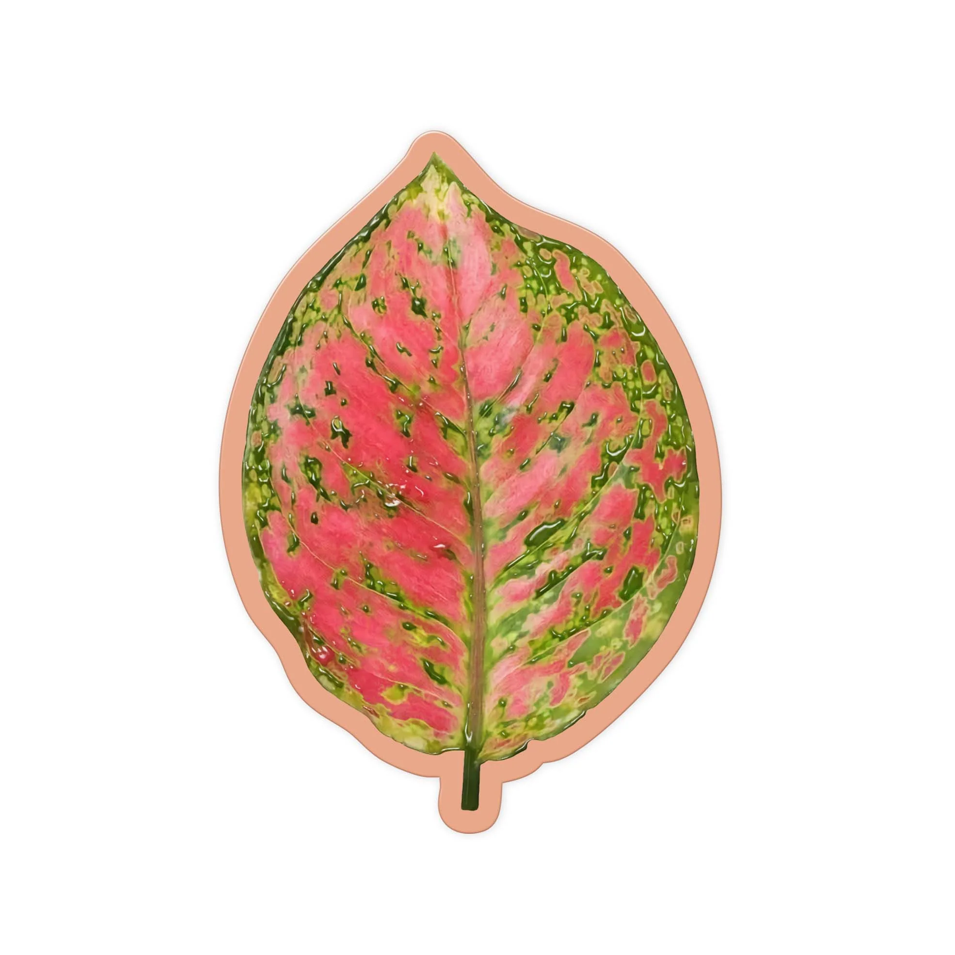 Rust Leaf