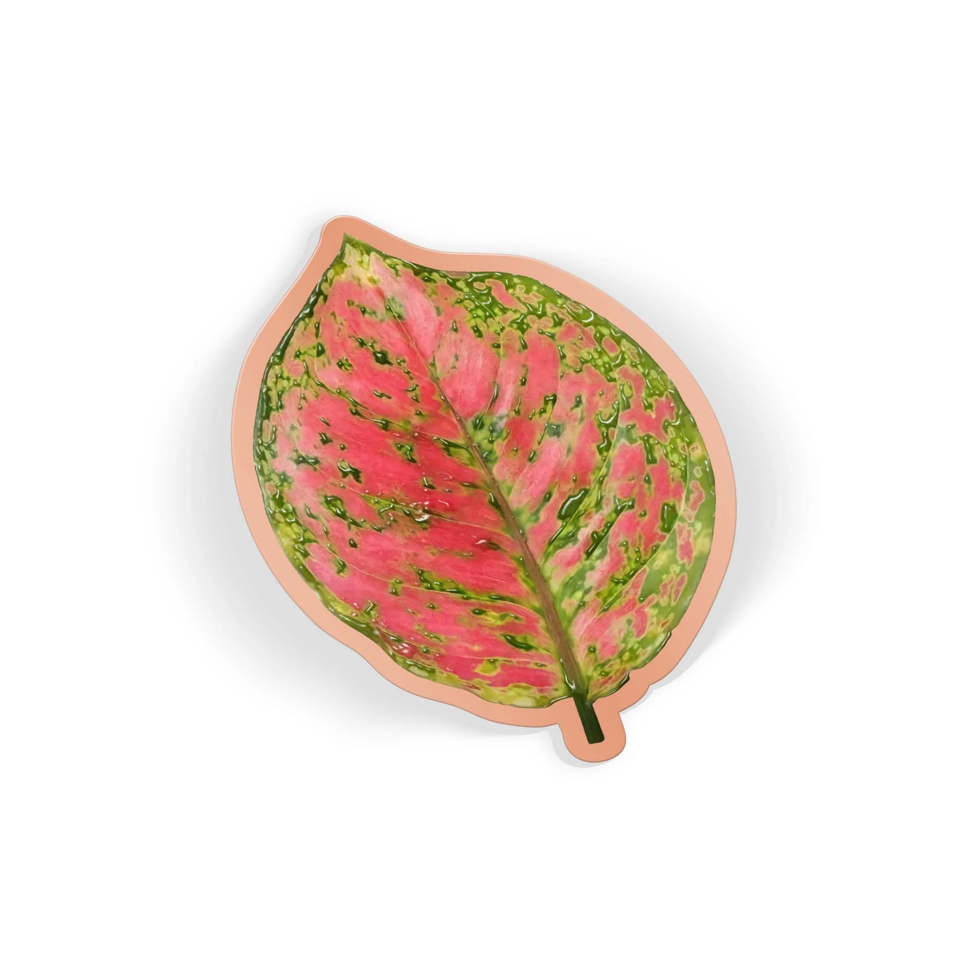 Rust Leaf - Image 2