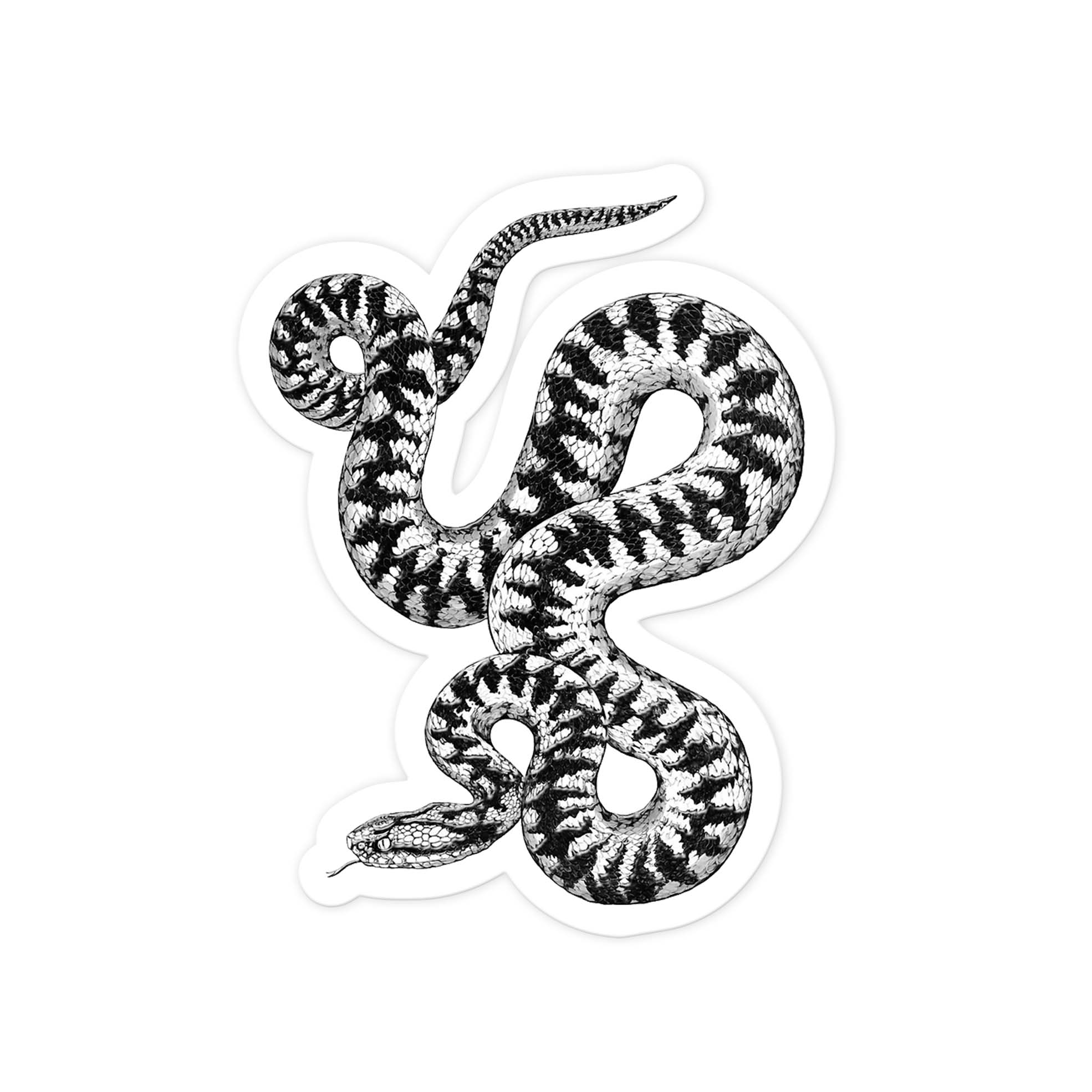 Serpentis