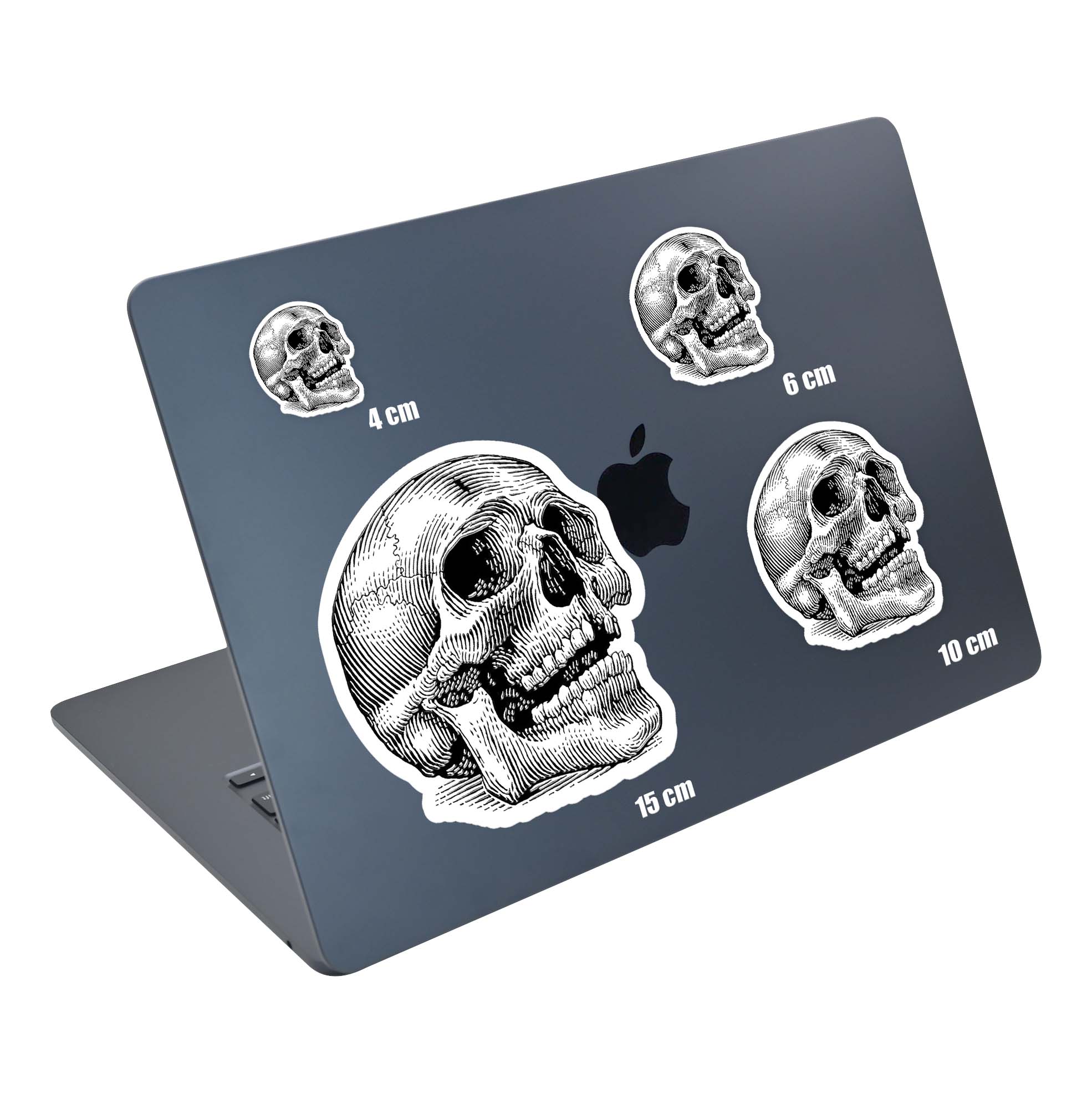 Skully - Image 5