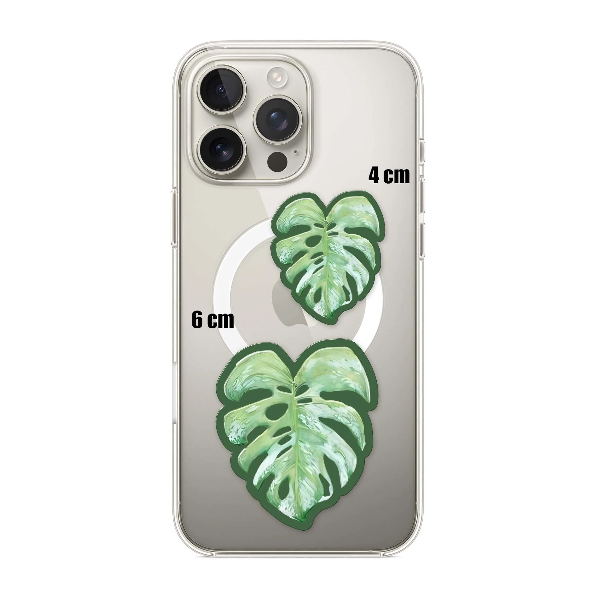 Split Leaf - Image 3