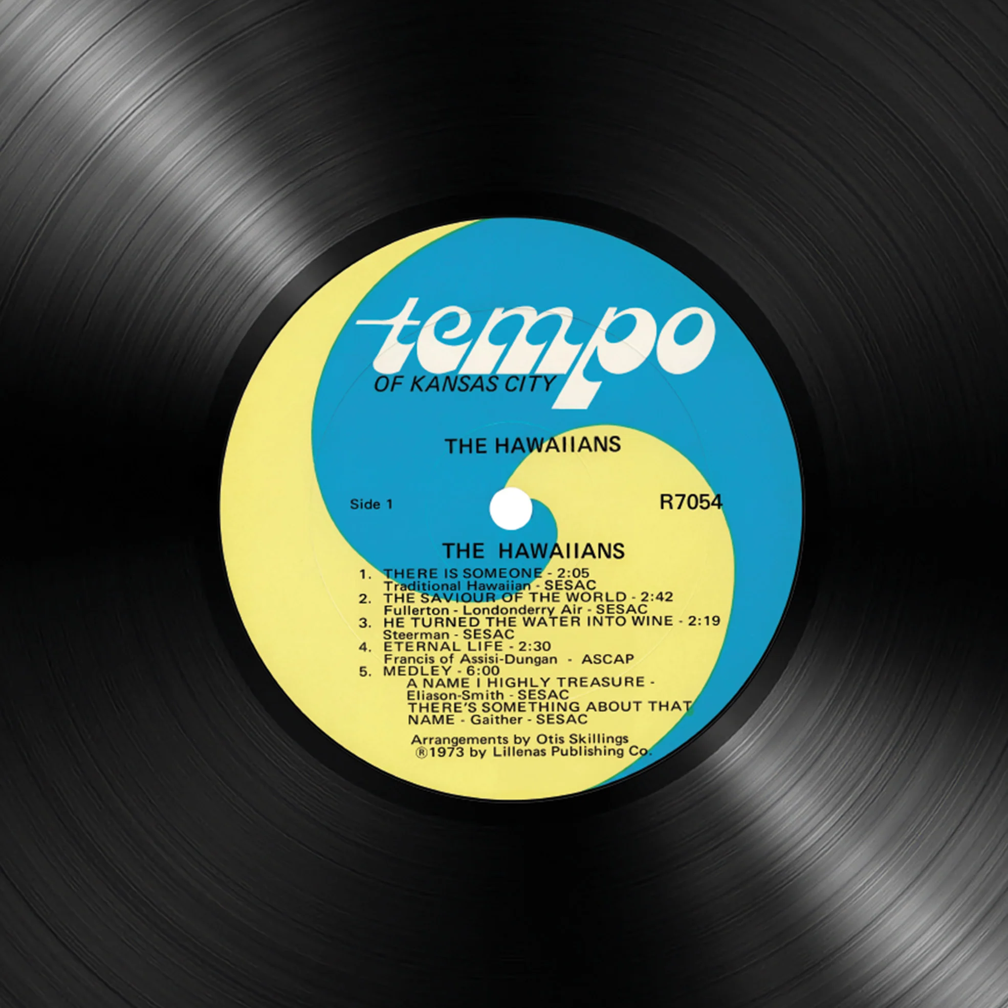 T Hawaiians - Image 2