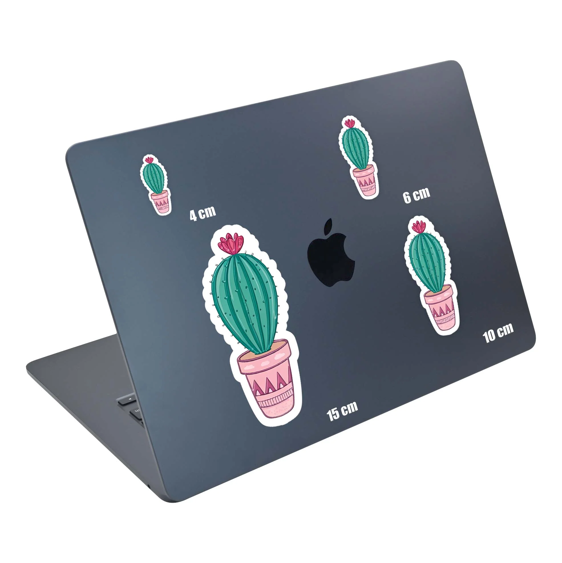 Tall Cactus - Image 5