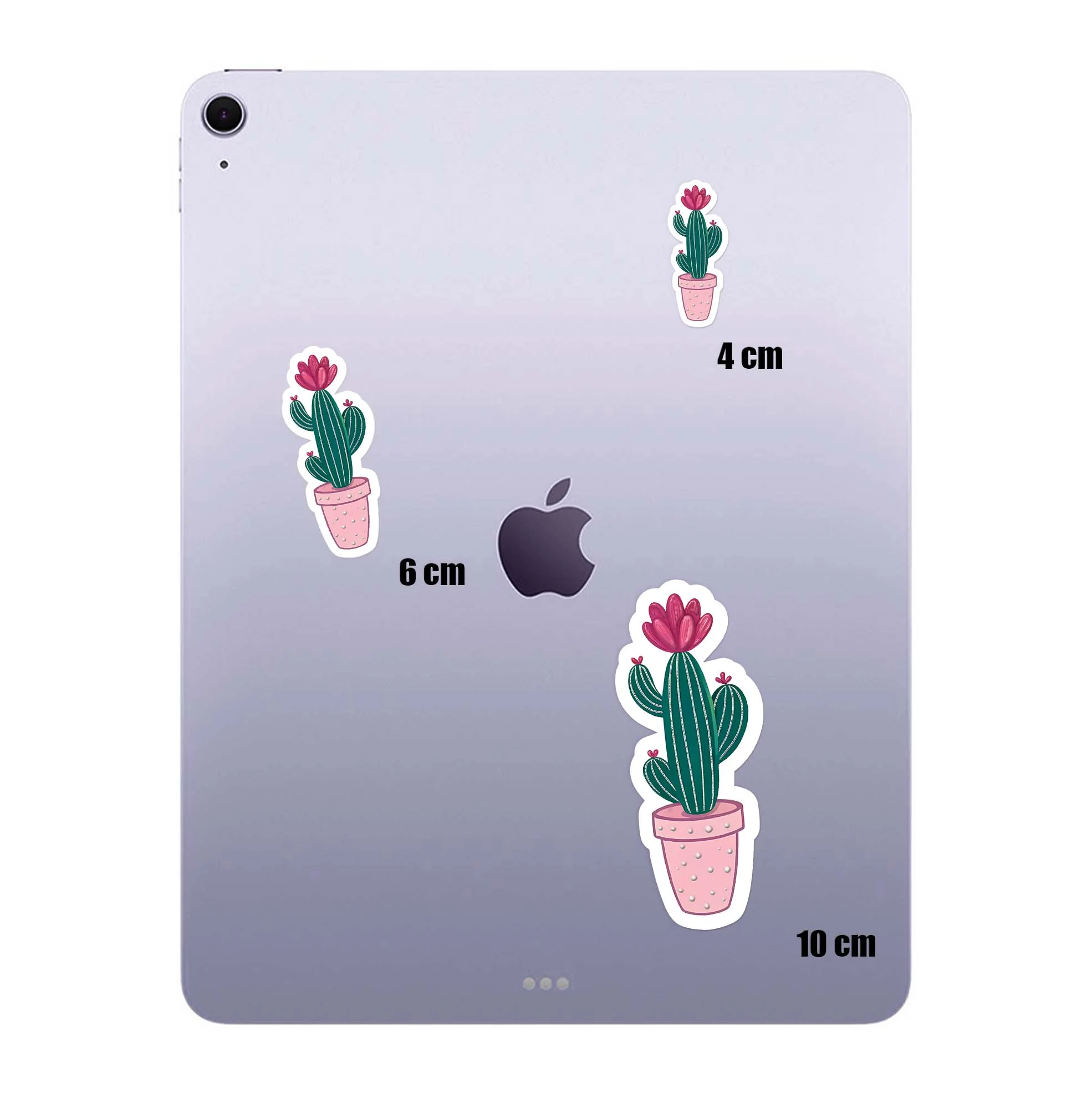 Twin Cactus - Image 4