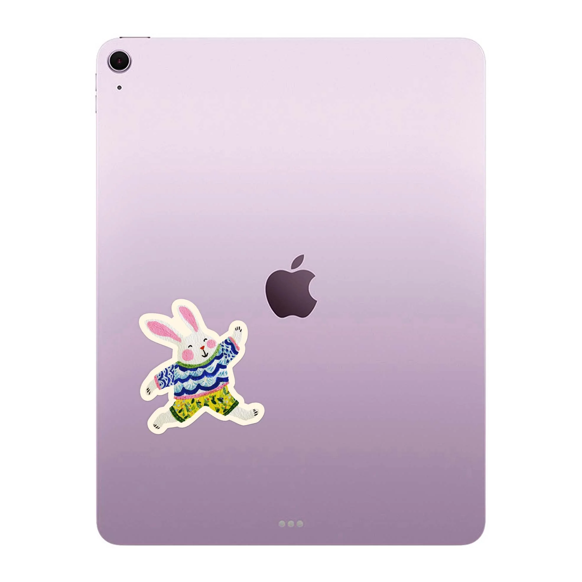 Wild Rabbit - Image 4